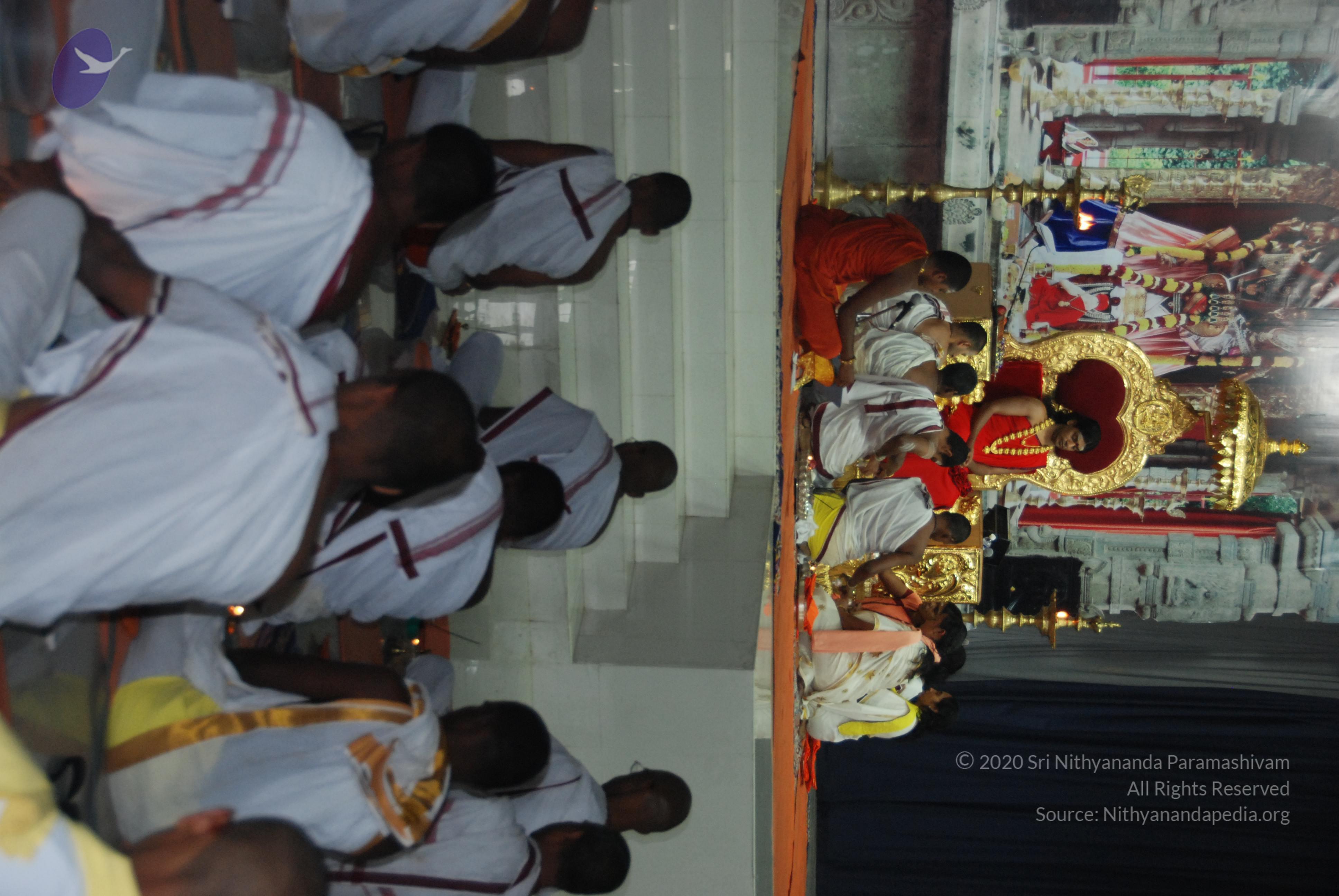 20110125_Photo_1001_DSC_5215_CMP_WM