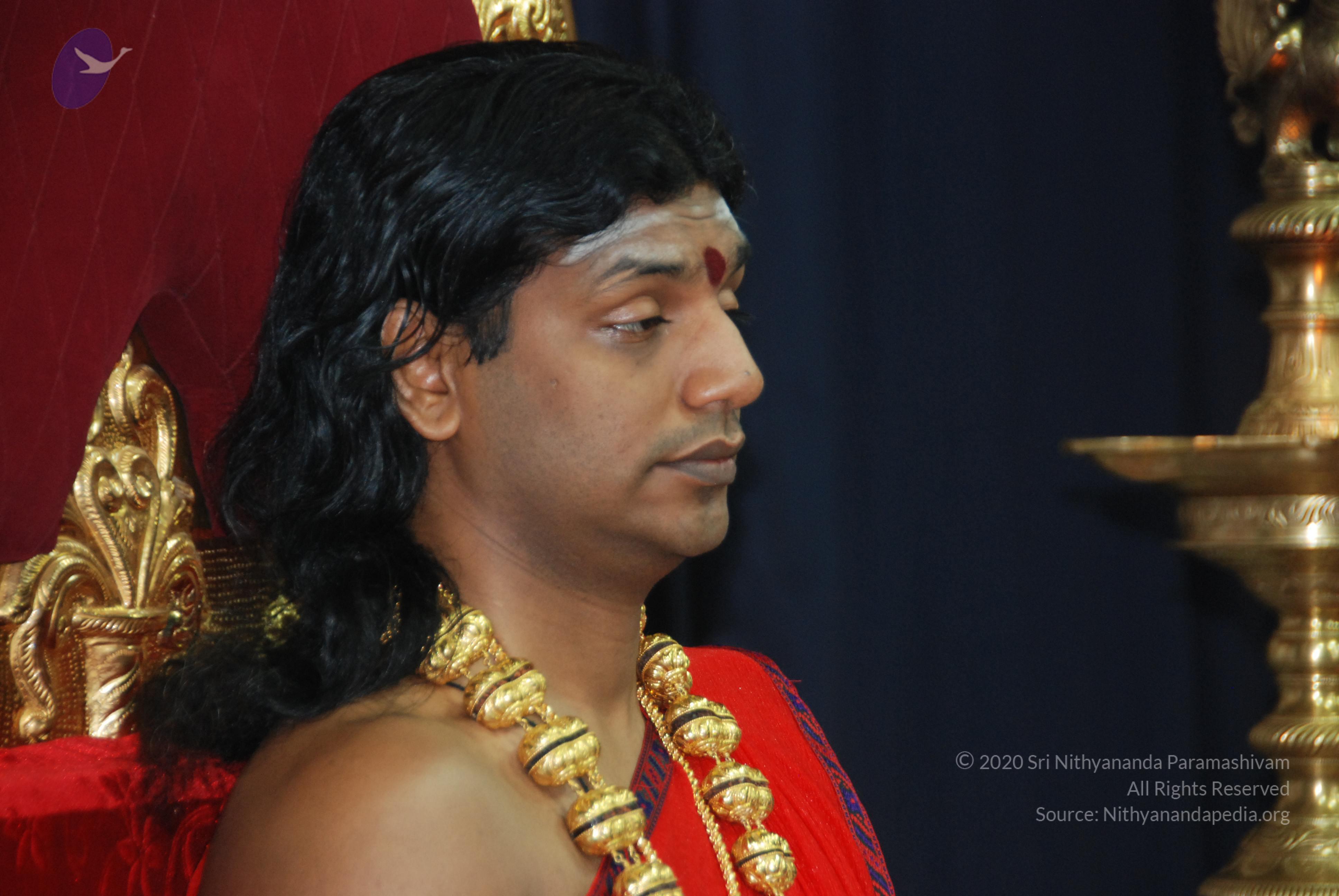 20110125_Photo_1010_DSC_5201_CMP_WM