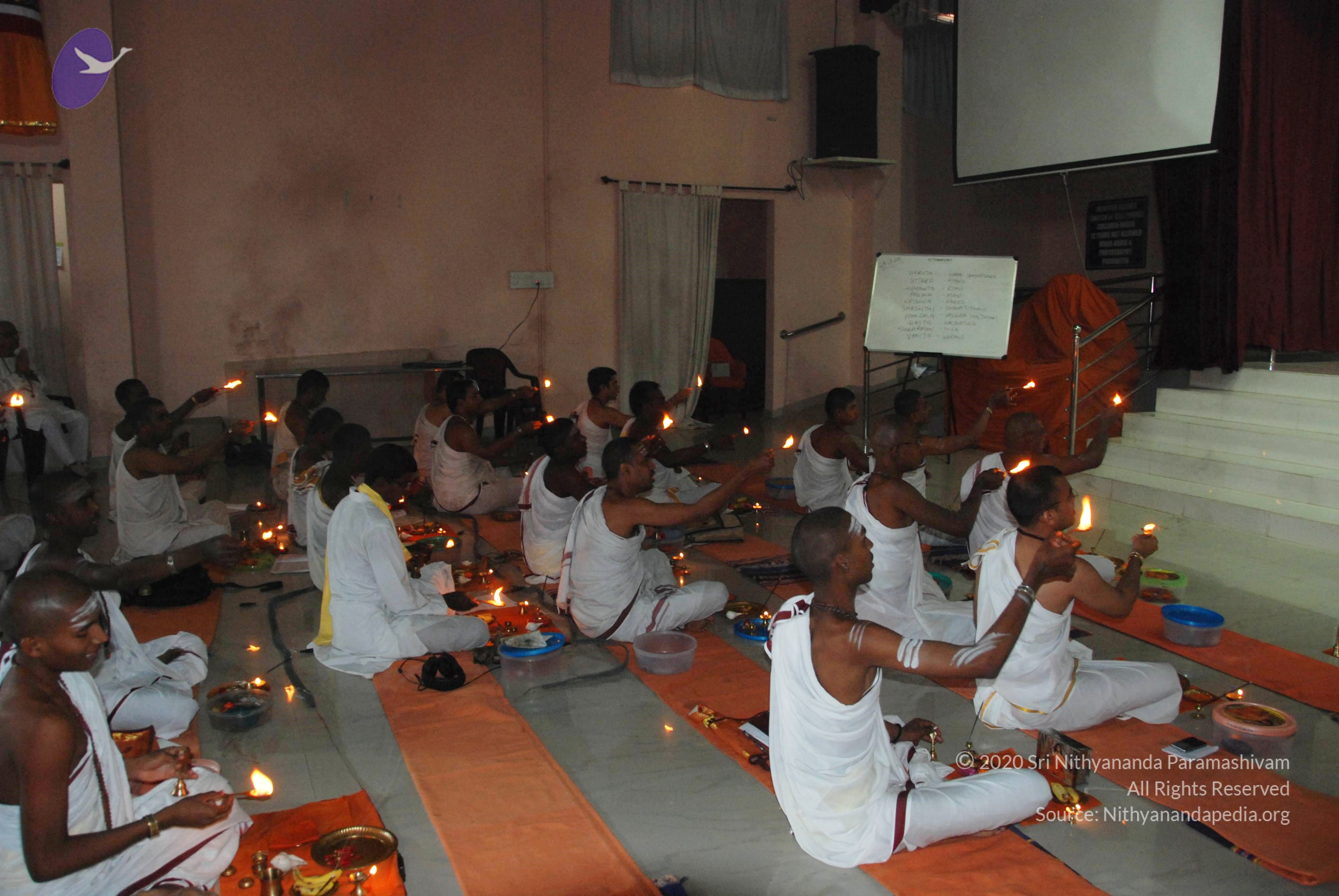 20110125_Photo_1016_DSC_5220_CMP_WM