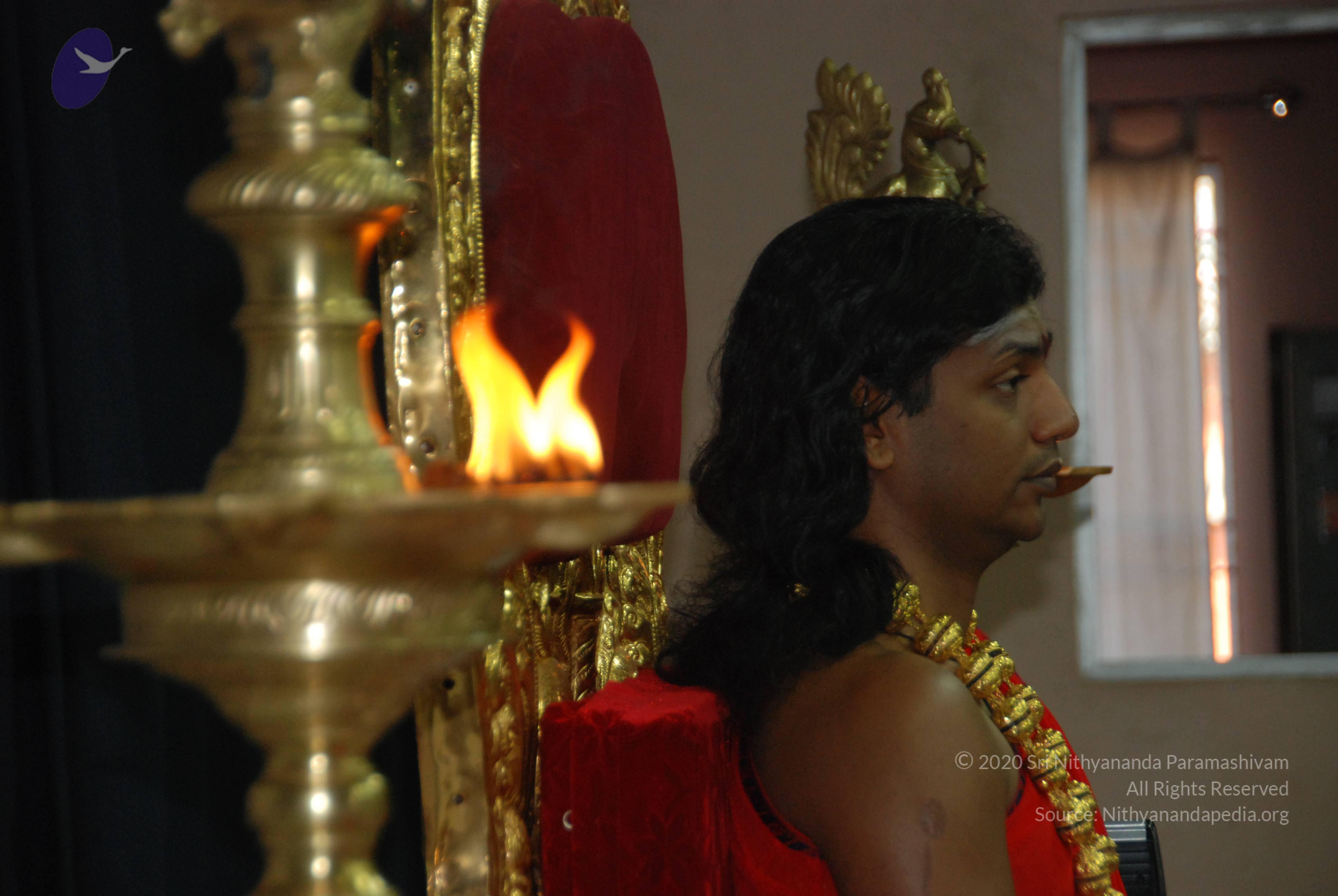 20110125_Photo_1023_DSC_5203_CMP_WM