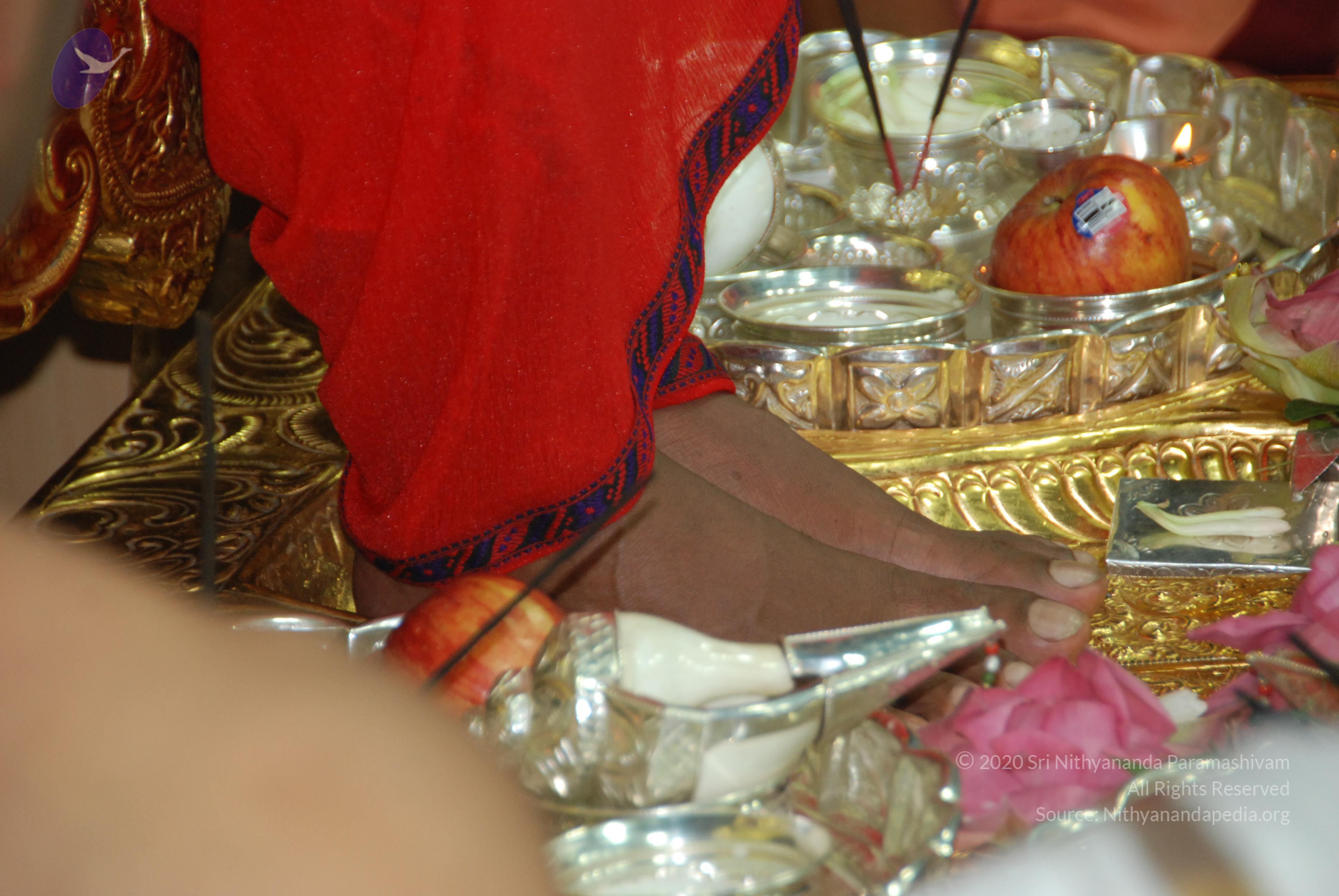 20110125_Photo_1028_DSC_5198_CMP_WM