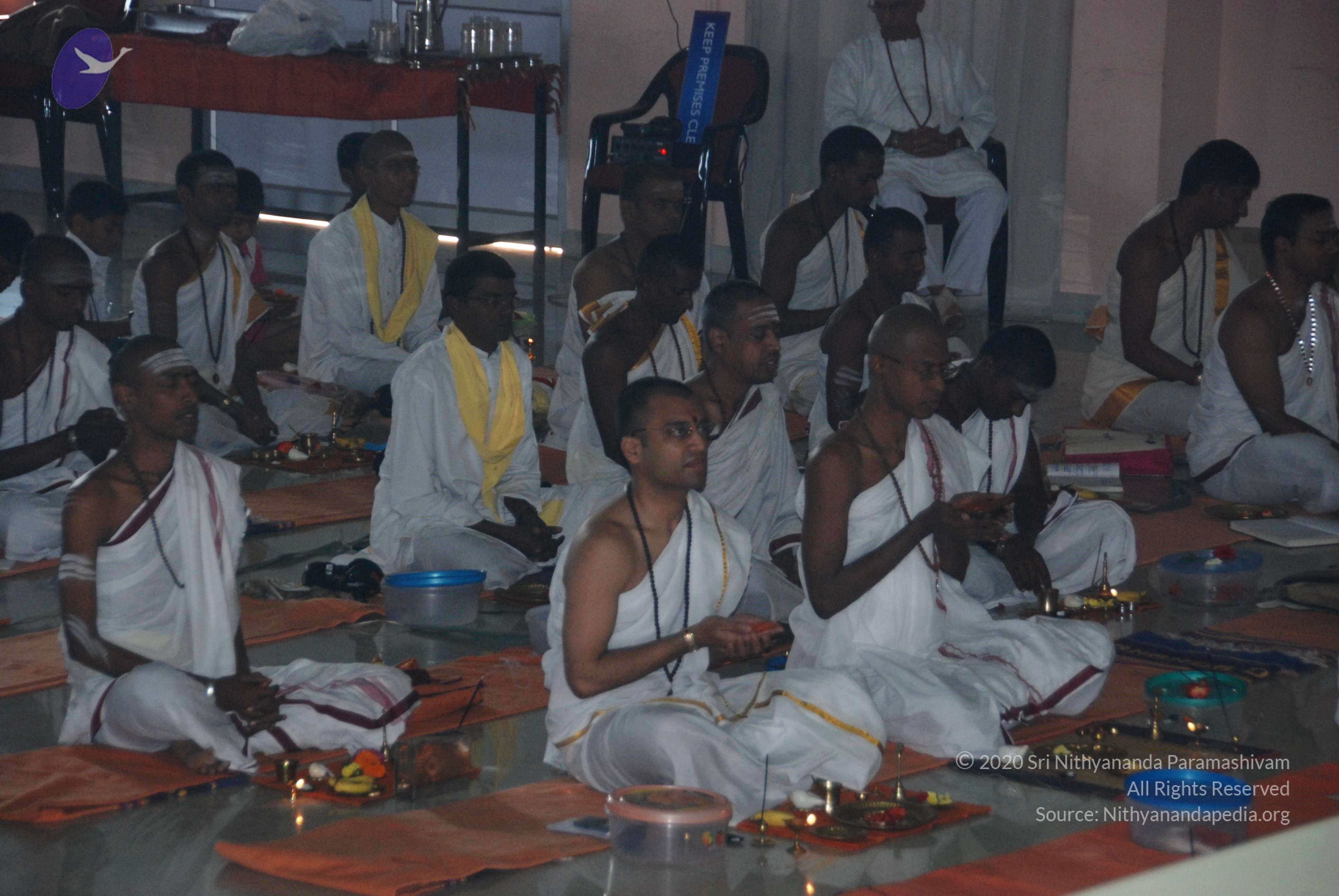 20110125_Photo_1029_DSC_5212_CMP_WM