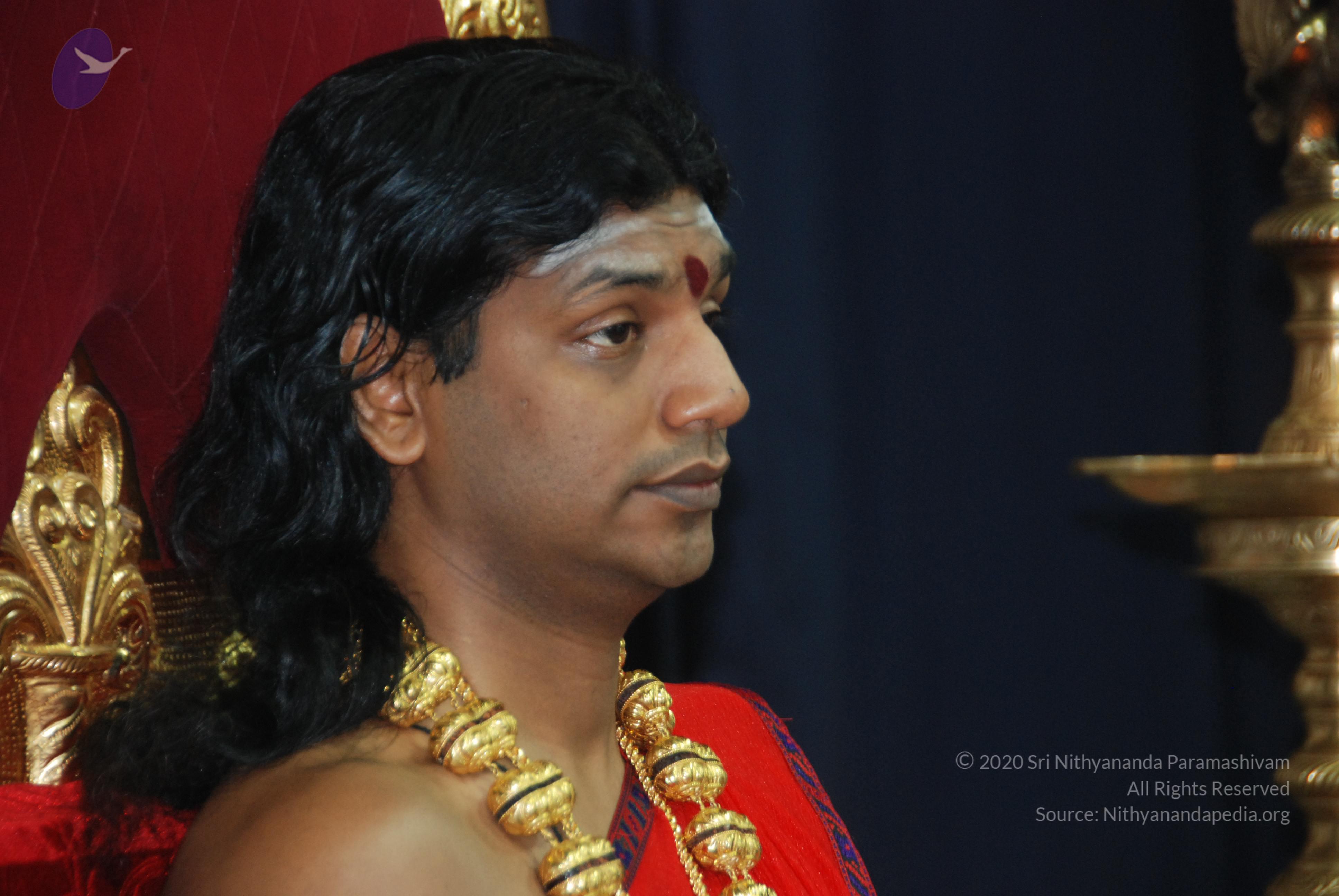 20110125_Photo_1033_DSC_5200_CMP_WM