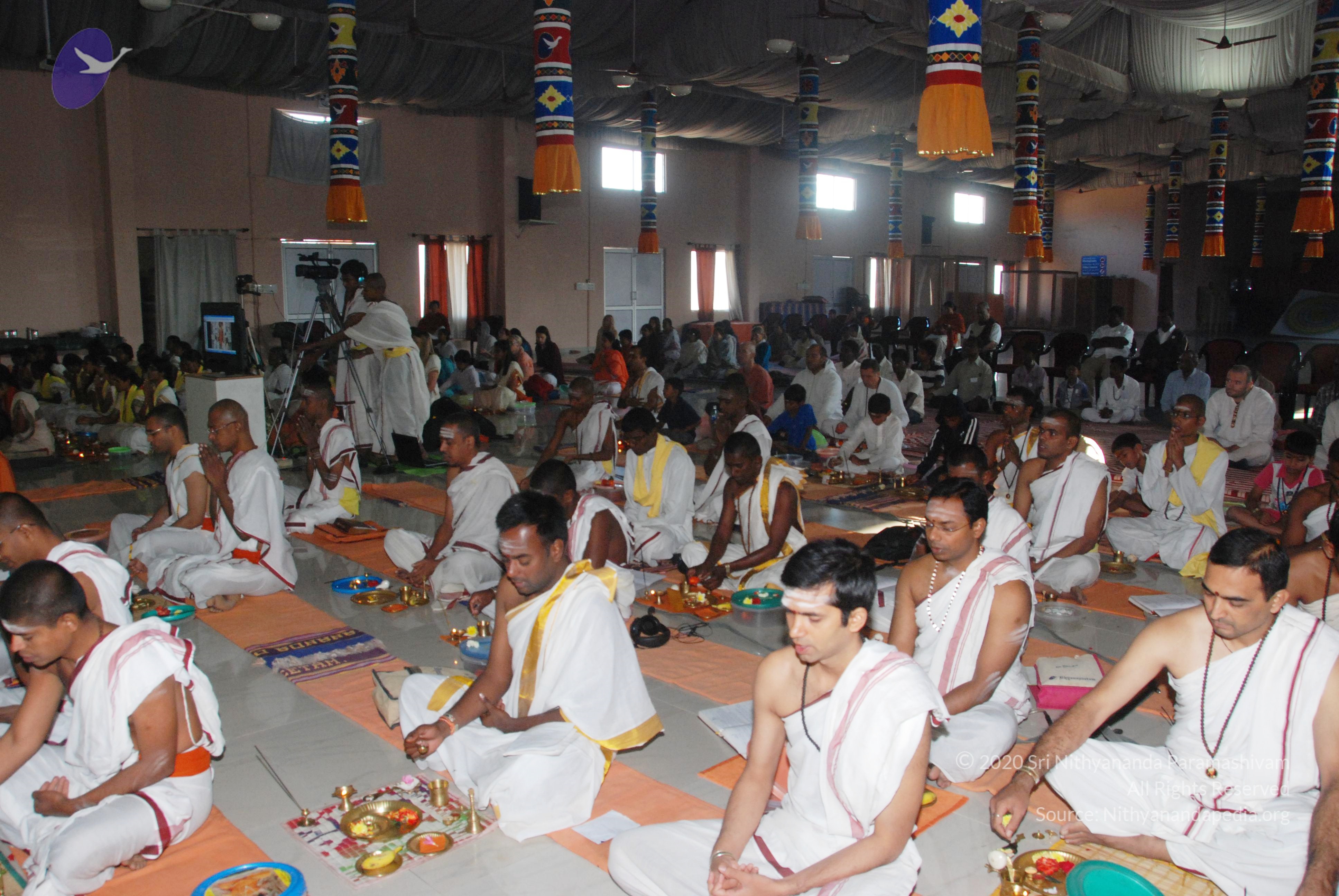 20110125_Photo_1037_DSC_5178_CMP_WM