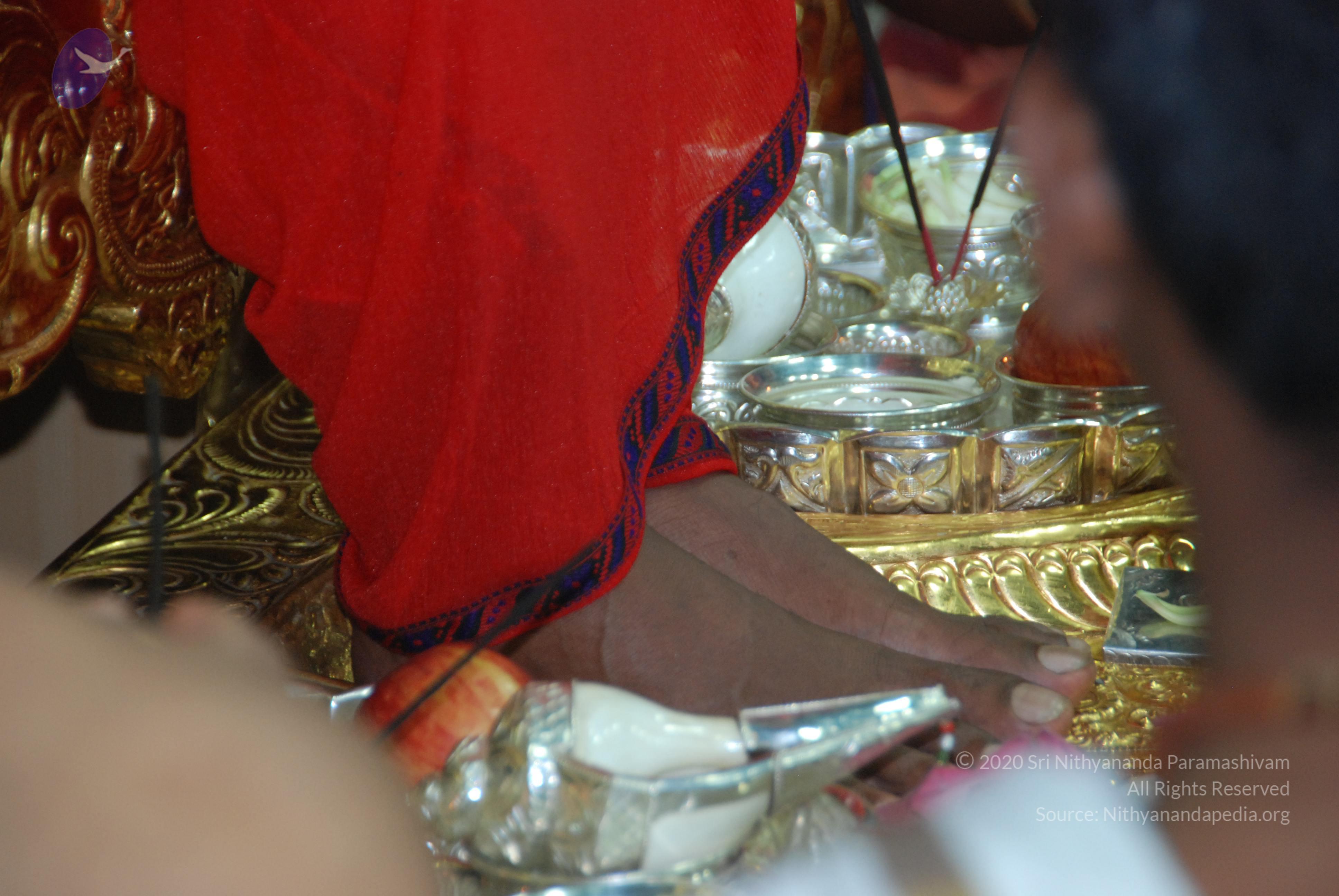 20110125_Photo_1054_DSC_5199_CMP_WM