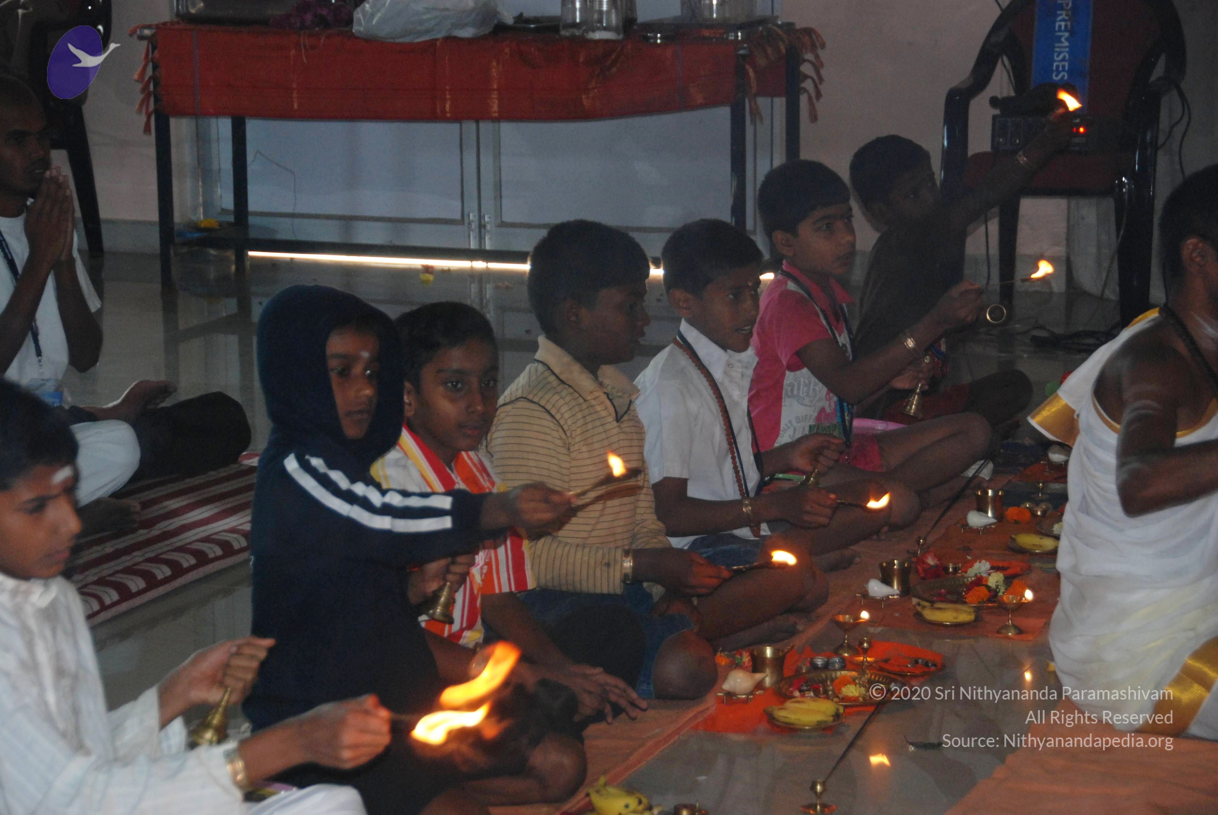 20110125_Photo_1058_DSC_5221_CMP_WM