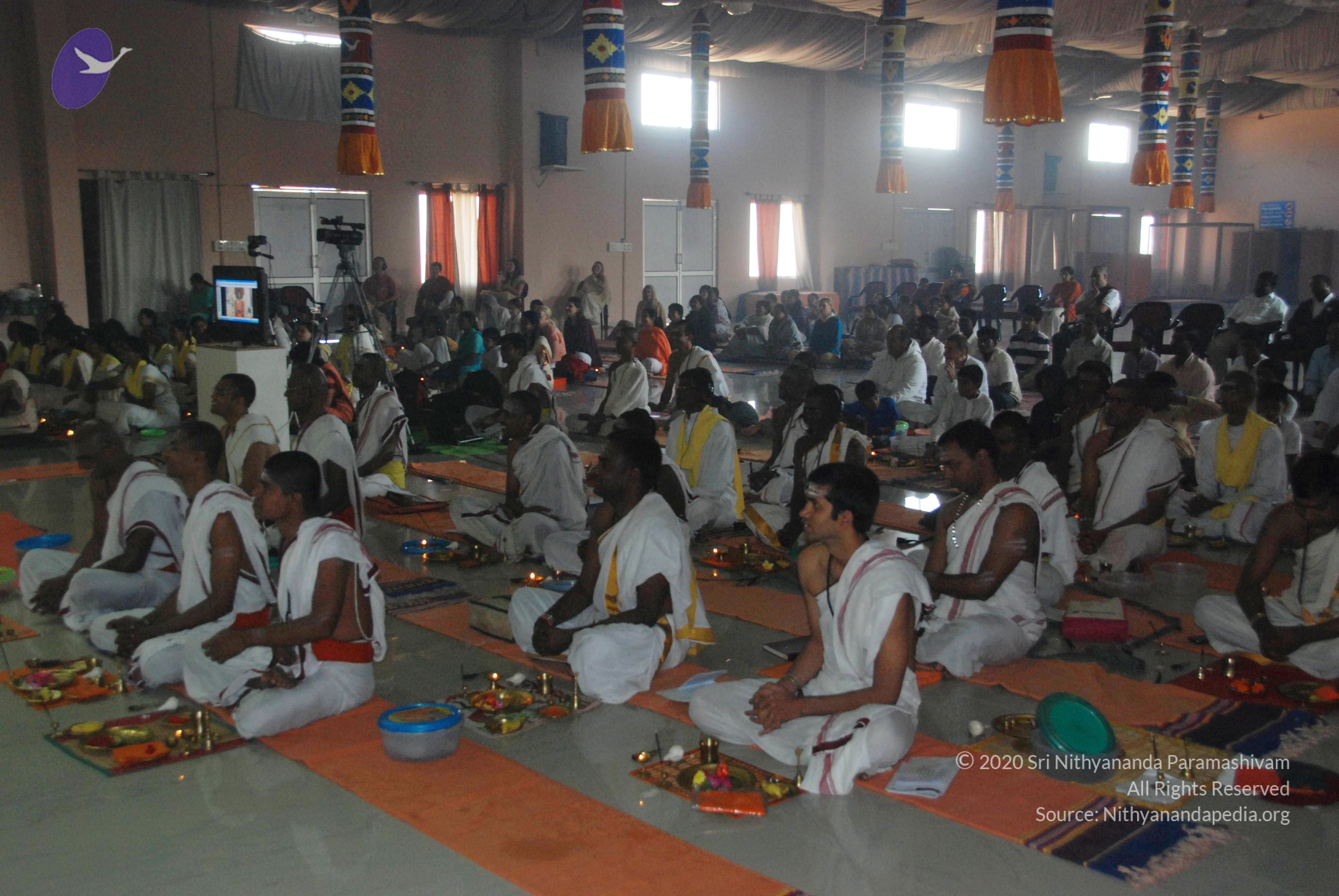 20110125_Photo_1005_DSC_5234_CMP_WM