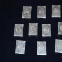 20110125_Photo_1012_DSC_5410_CMP_WM