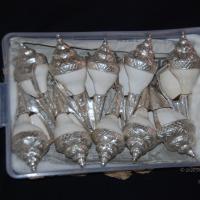 20110125_Photo_1015_DSC_5409_CMP_WM