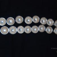 20110125_Photo_1048_DSC_5417_CMP_WM