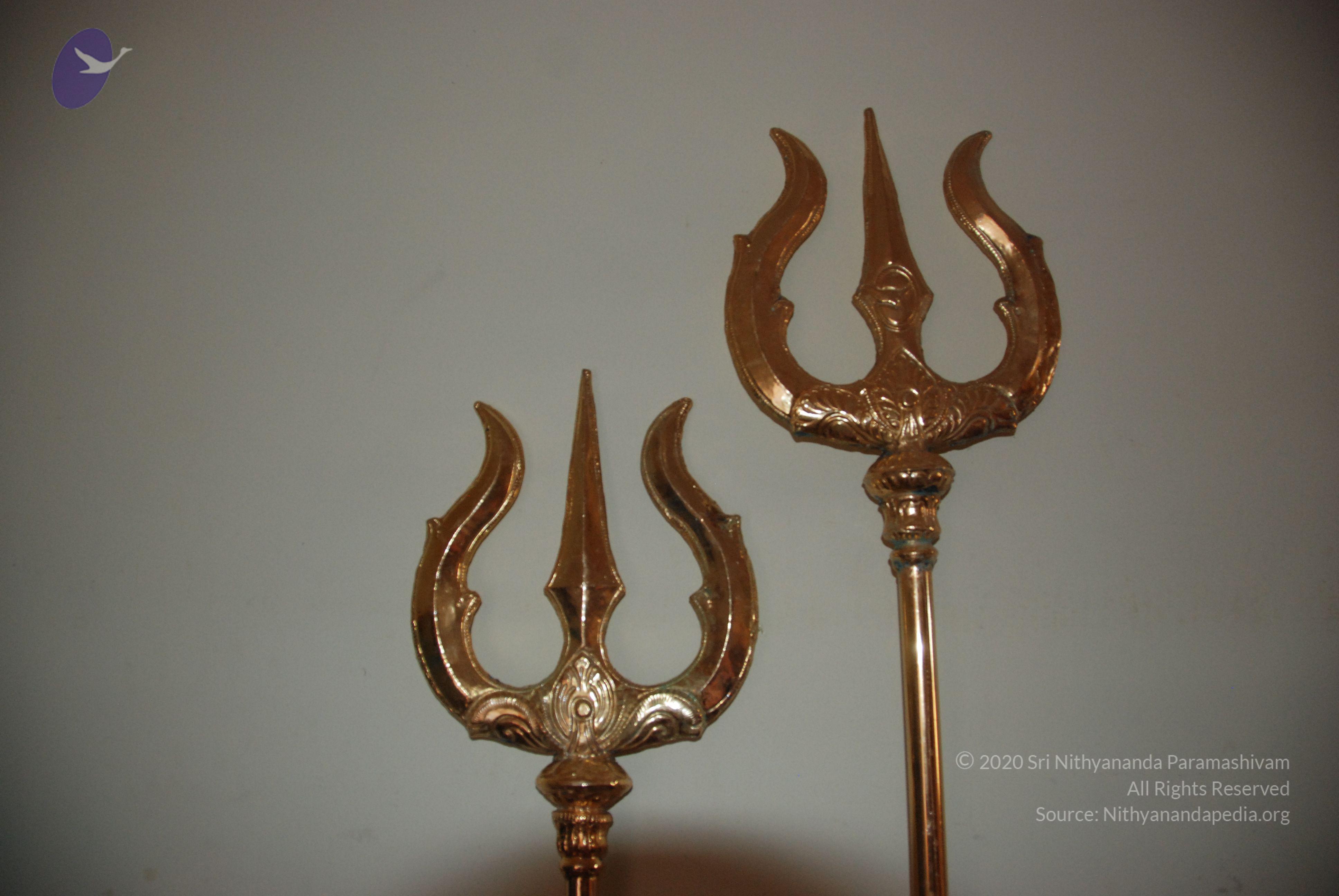 20110125_Photo_1049_DSC_5396_CMP_WM