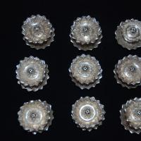 20110125_Photo_1064_DSC_5414_CMP_WM