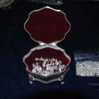 20110125_Photo_1098_DSC_5386_CMP_WM