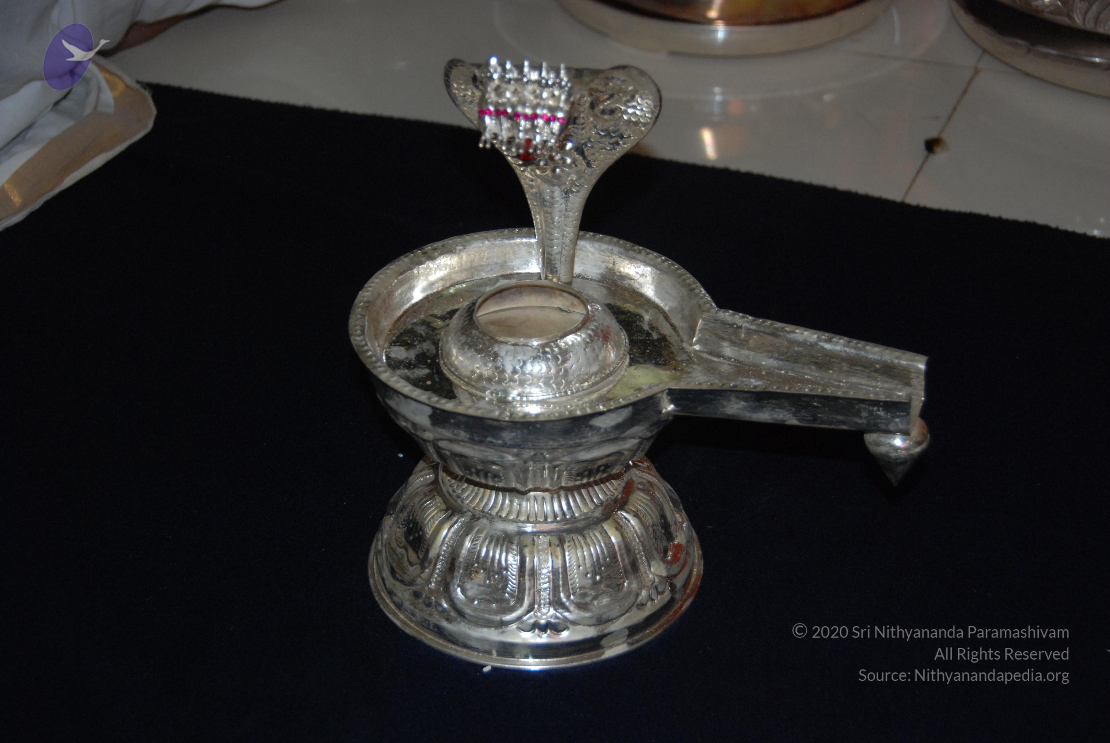 20110125_Photo_1100_DSC_5352_CMP_WM