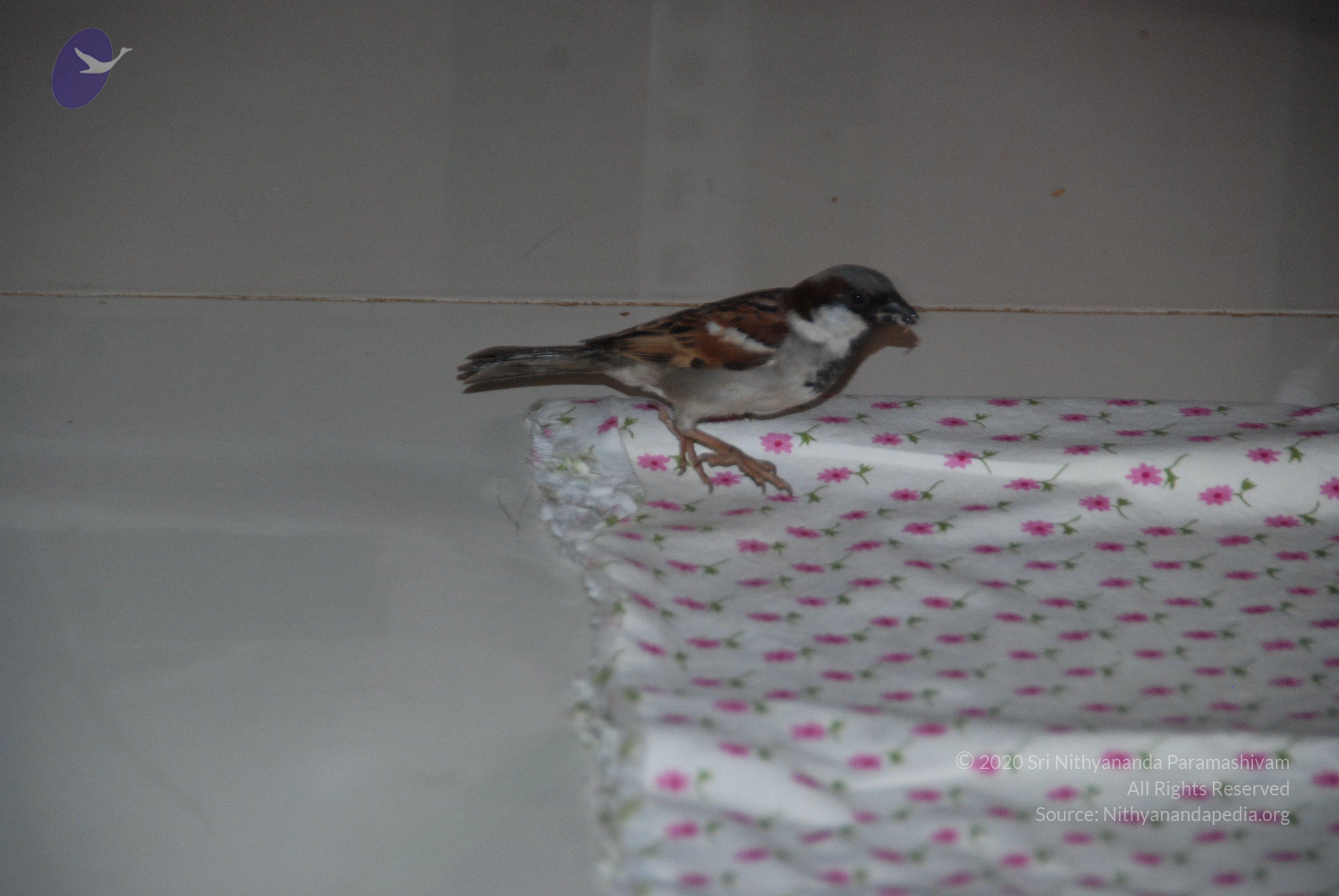 20110125_Photo_1000_DSC_5422_CMP_WM