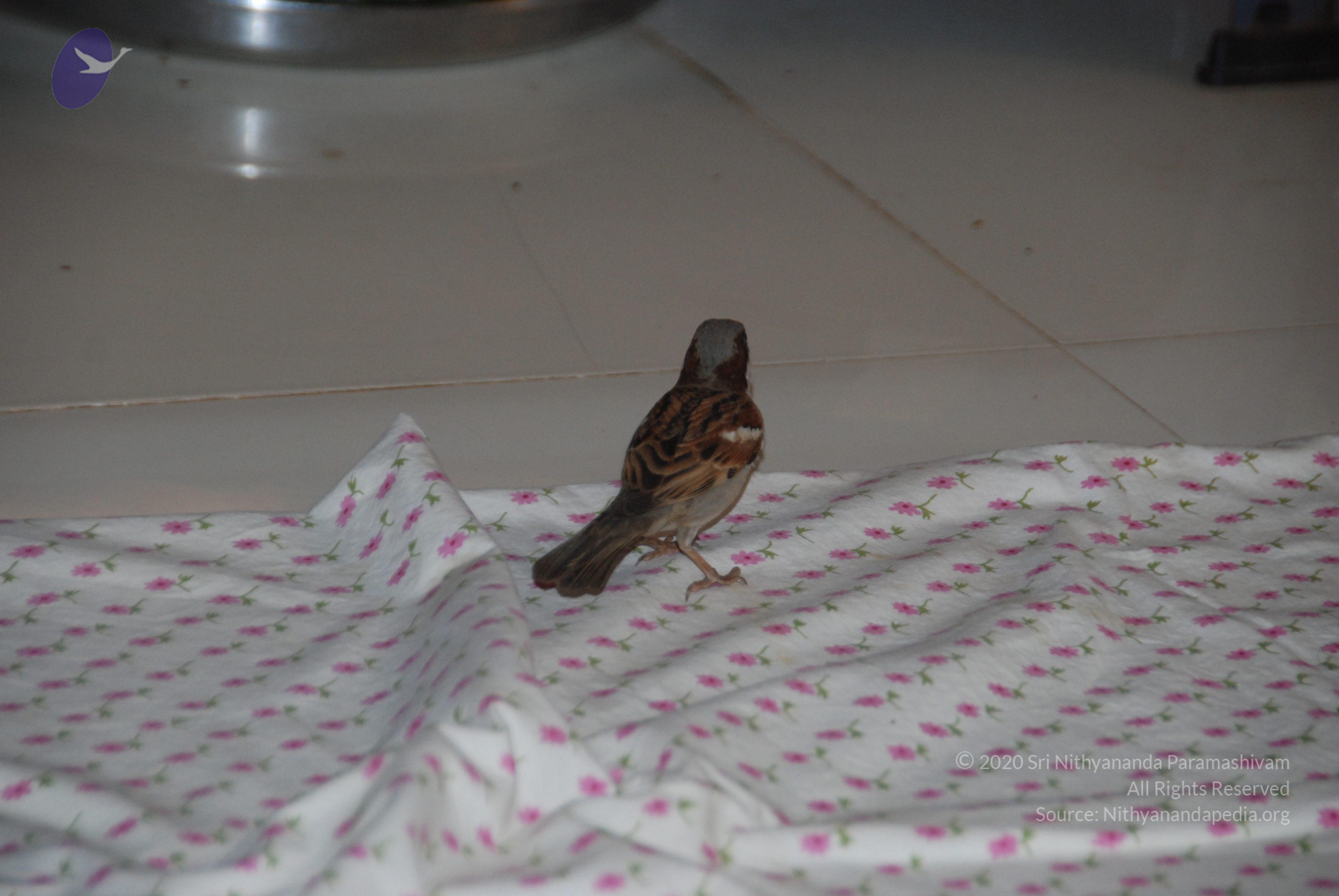 20110125_Photo_1001_DSC_5423_CMP_WM