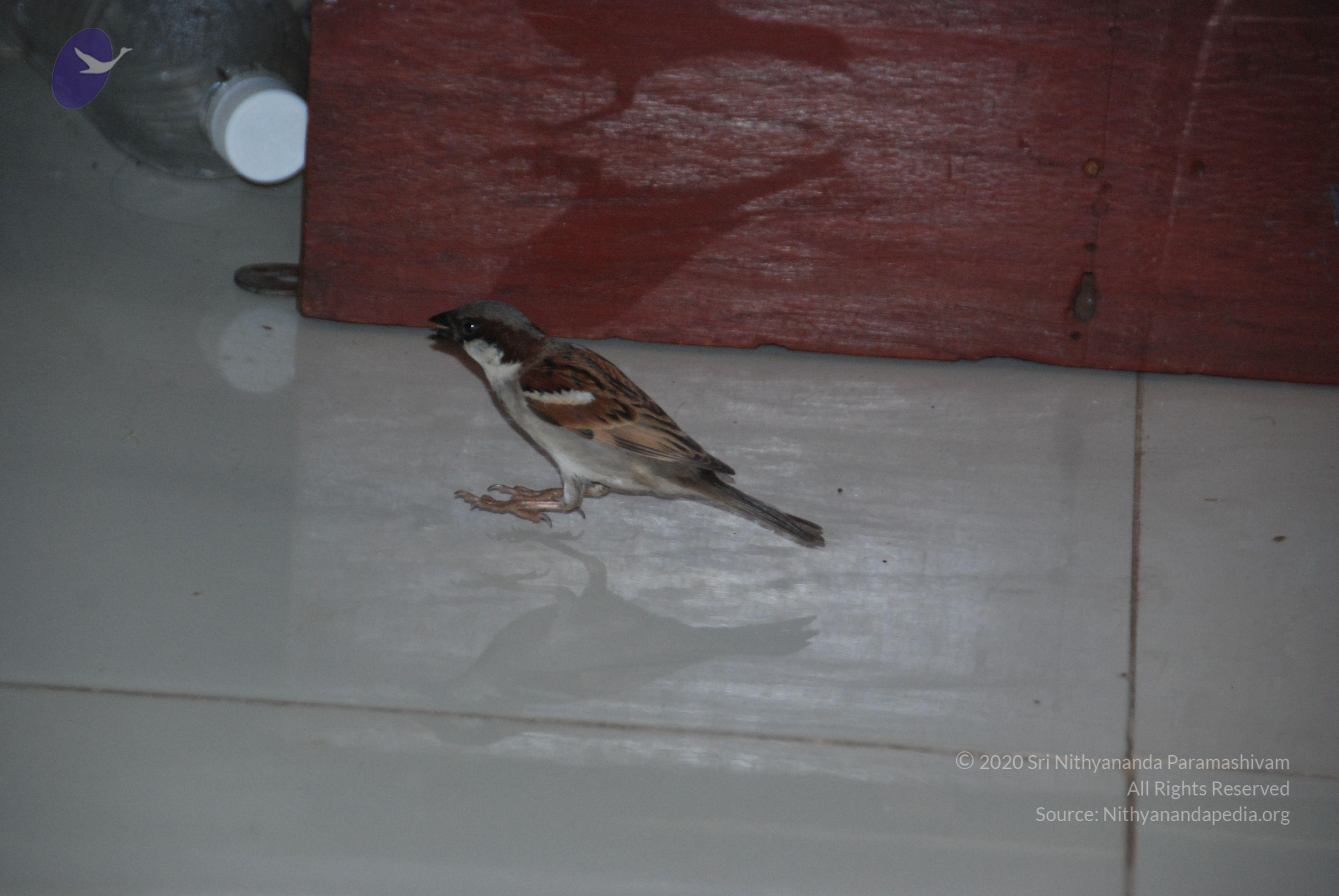 20110125_Photo_1002_DSC_5421_CMP_WM