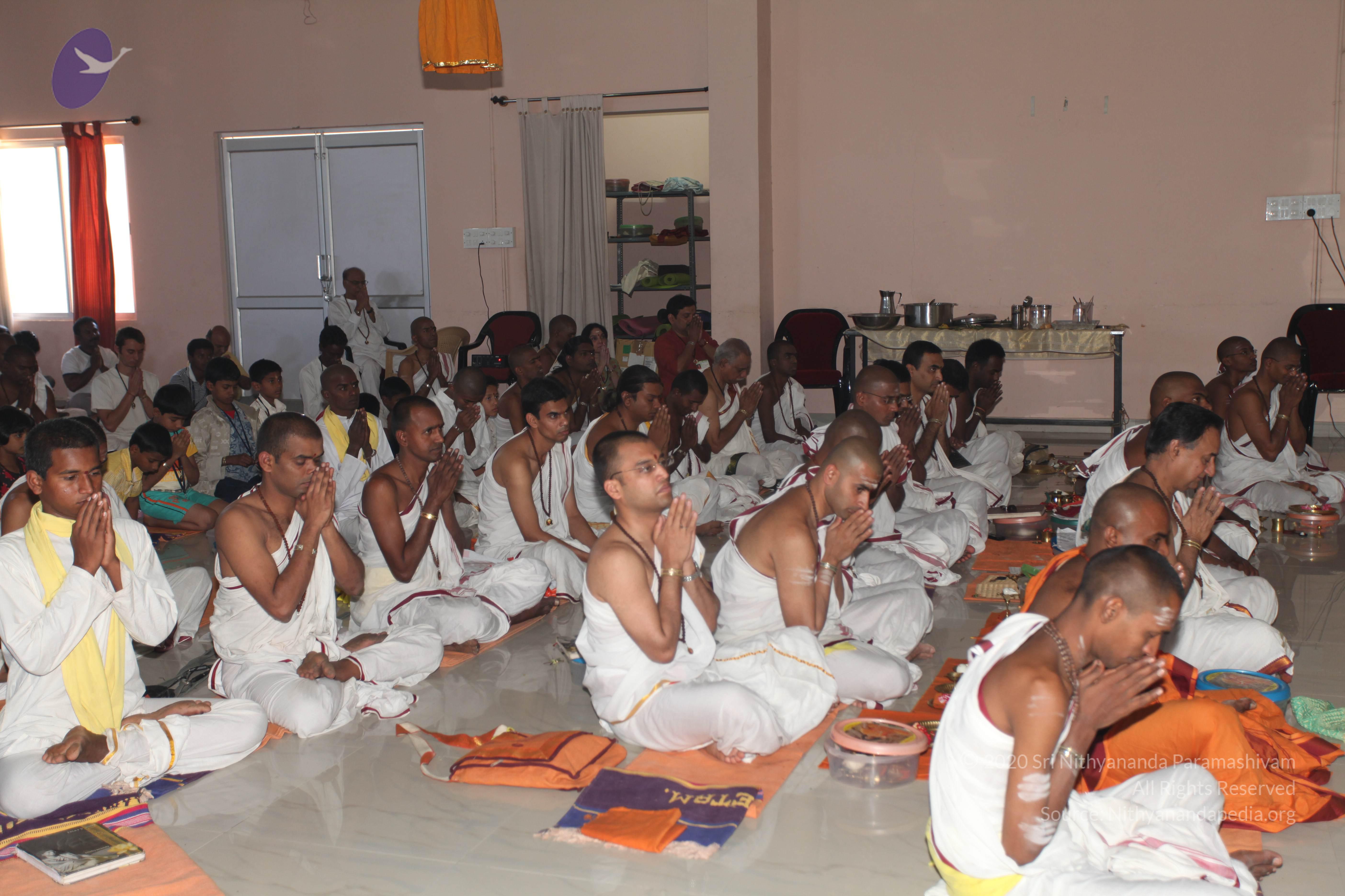 20110129_Photo_1016_IMG_9818_CMP_WM