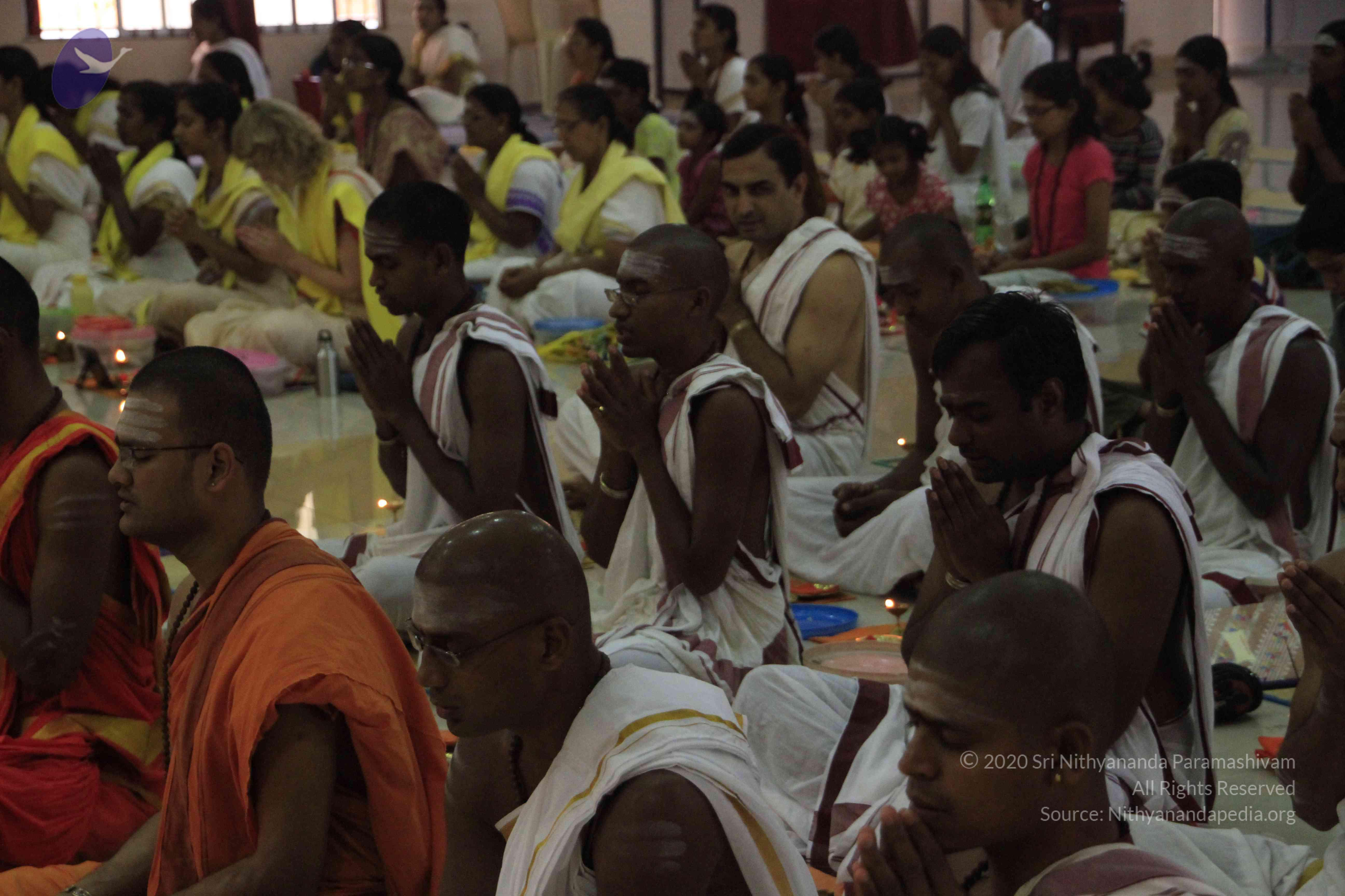 20110729_Photo_1006__MG_8141_CMP_WM