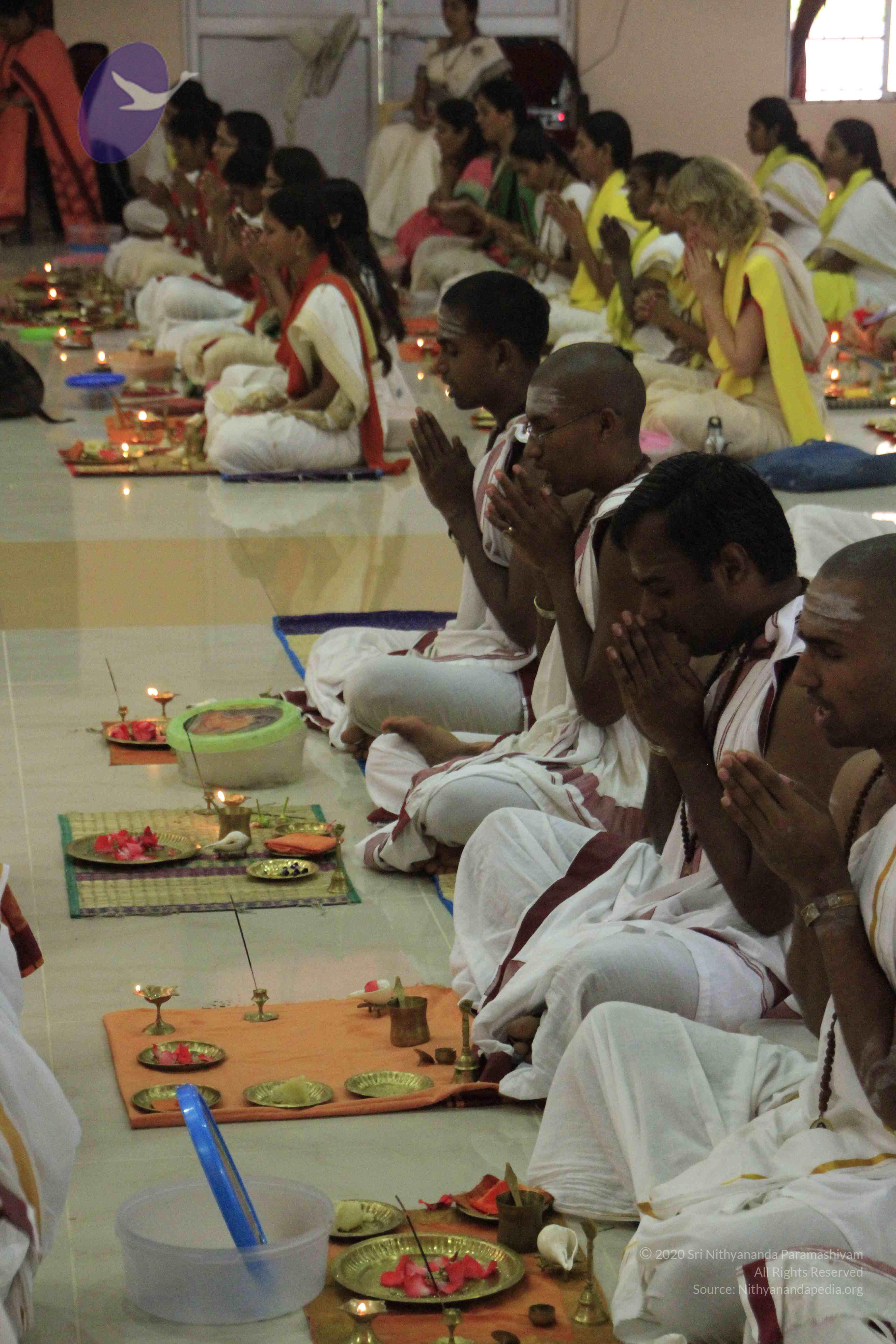 20110729_Photo_1017__MG_8143_CMP_WM