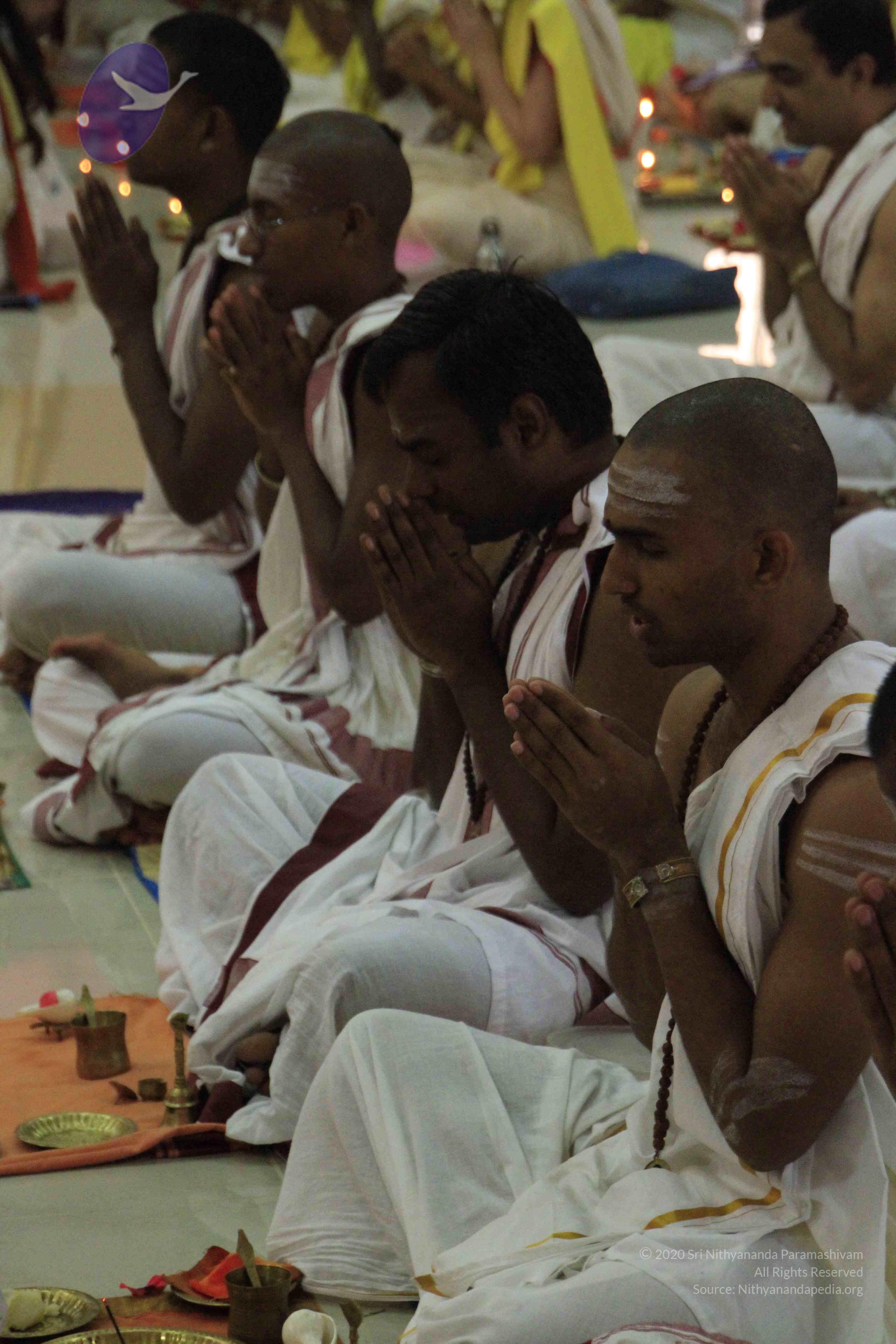 20110729_Photo_1021__MG_8146_CMP_WM