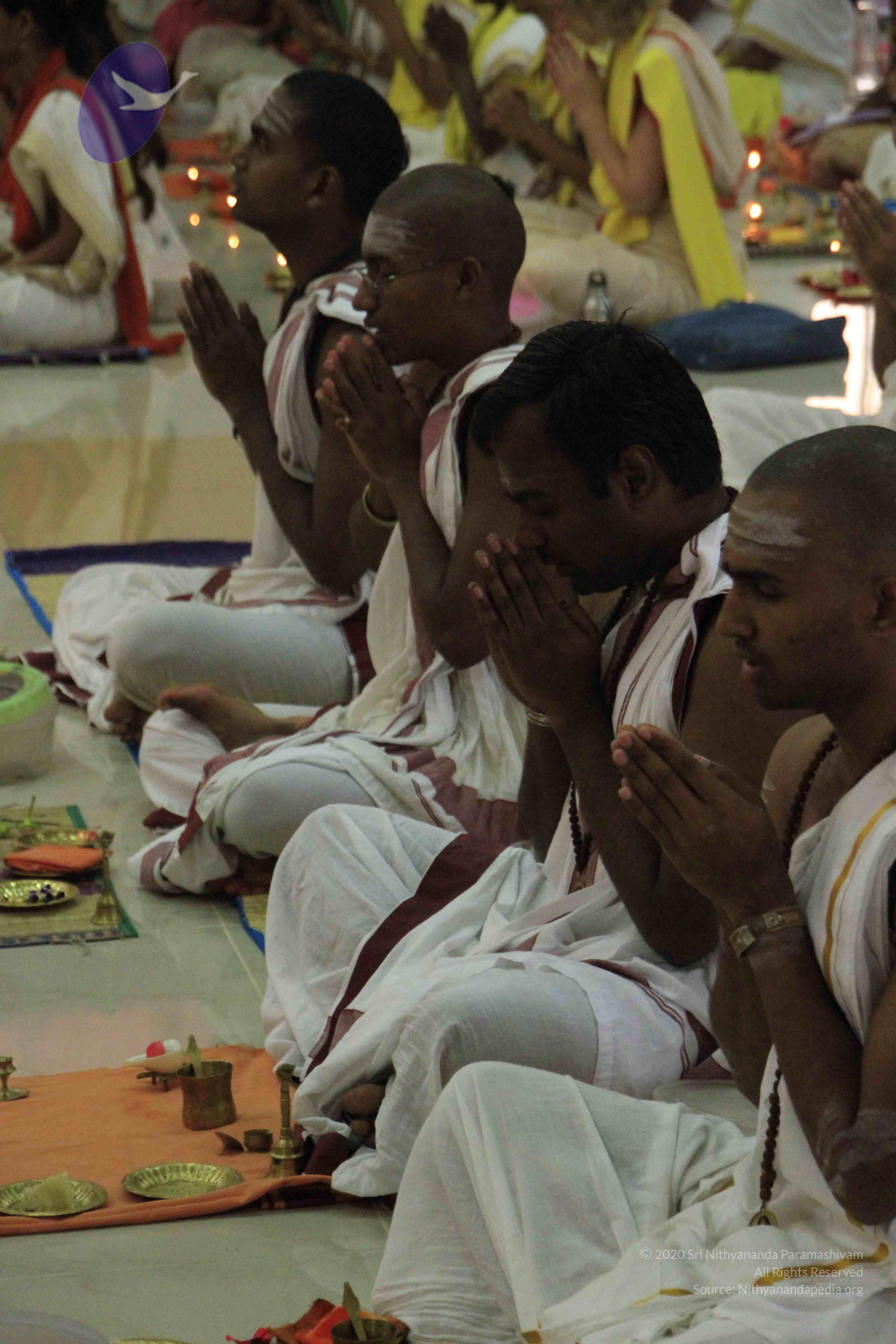 20110729_Photo_1030__MG_8145_CMP_WM