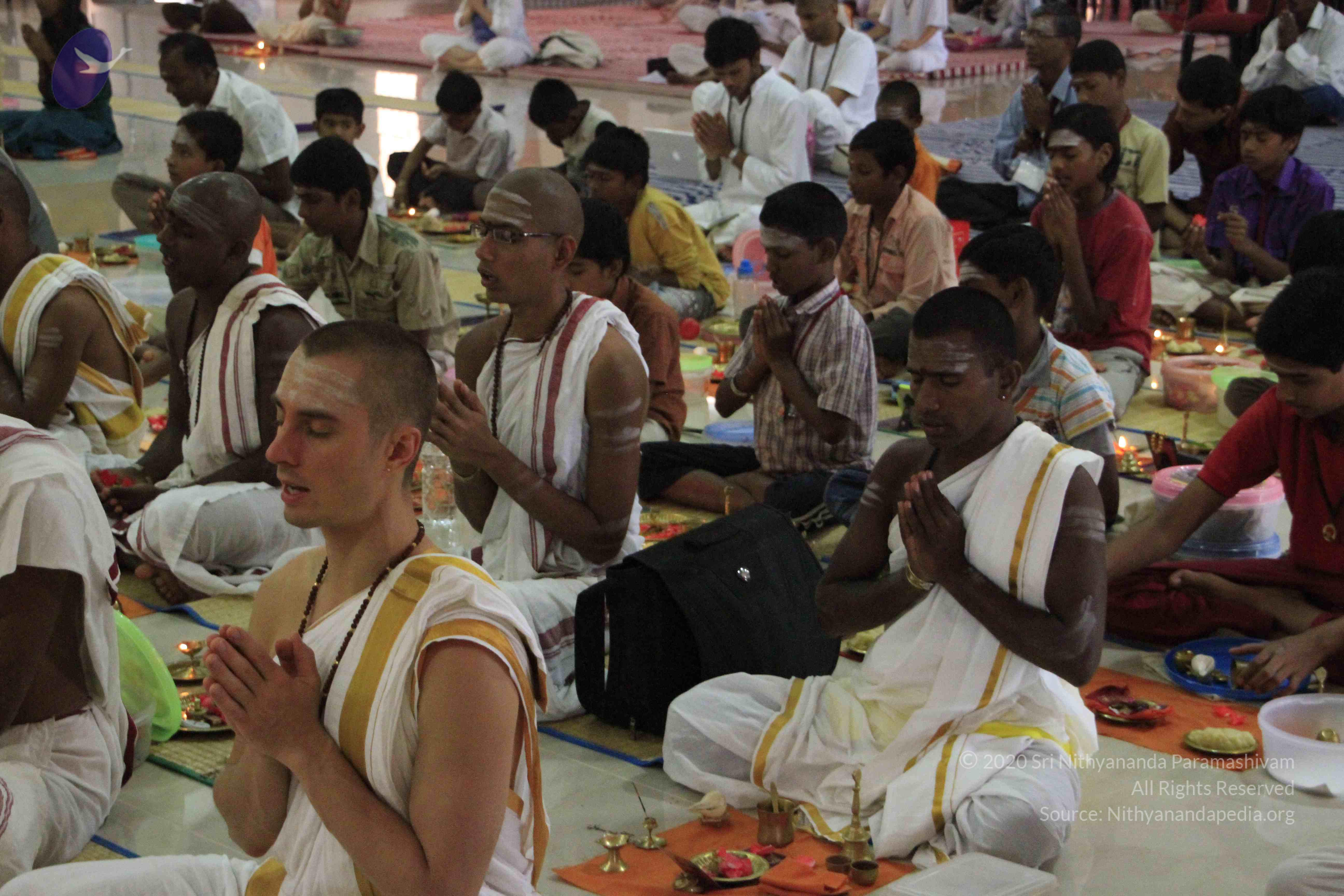 20110729_Photo_1034__MG_8148_CMP_WM