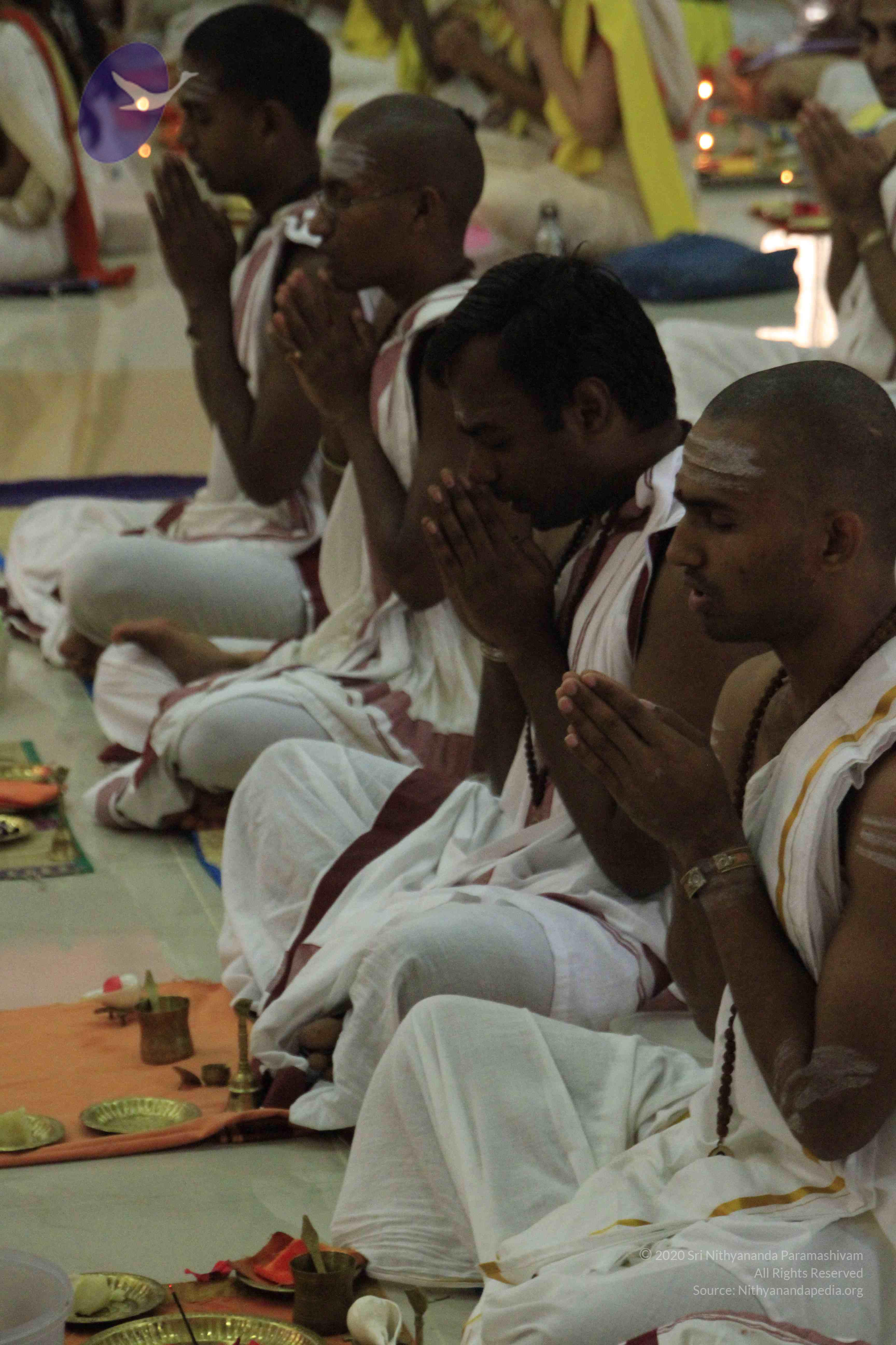 20110729_Photo_1043__MG_8147_CMP_WM