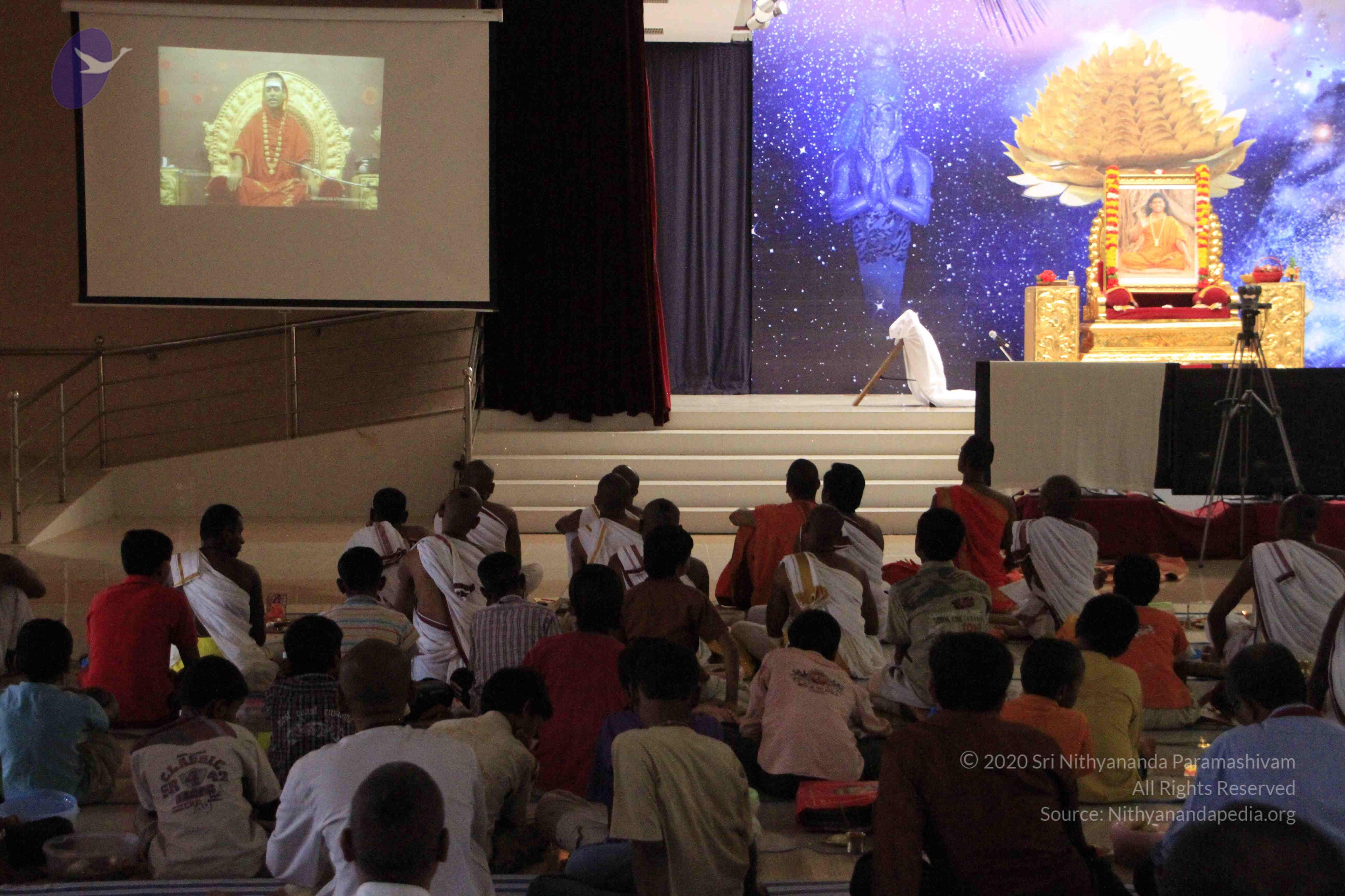 20110729_Photo_1046__MG_8161_CMP_WM