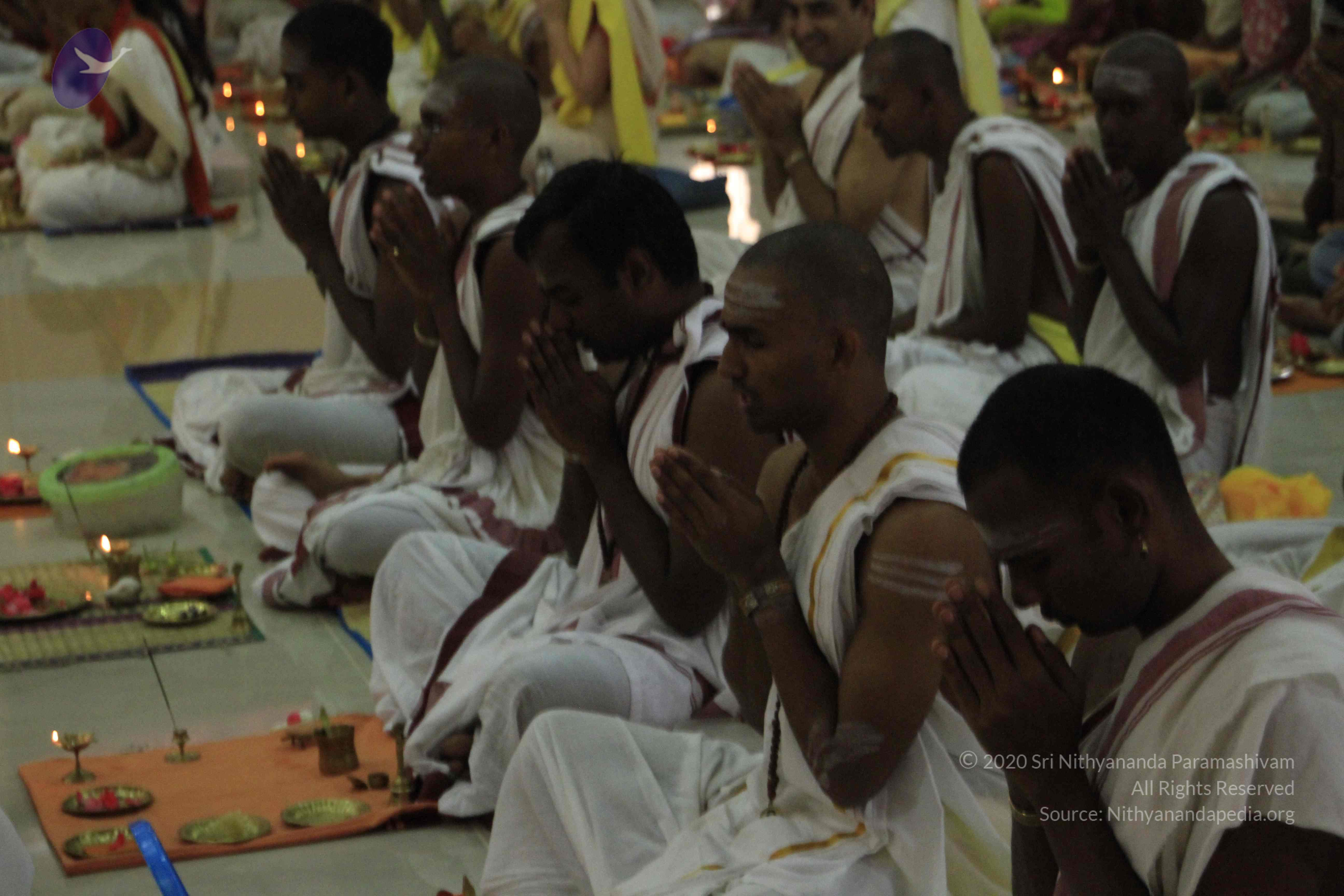 20110729_Photo_1052__MG_8142_CMP_WM