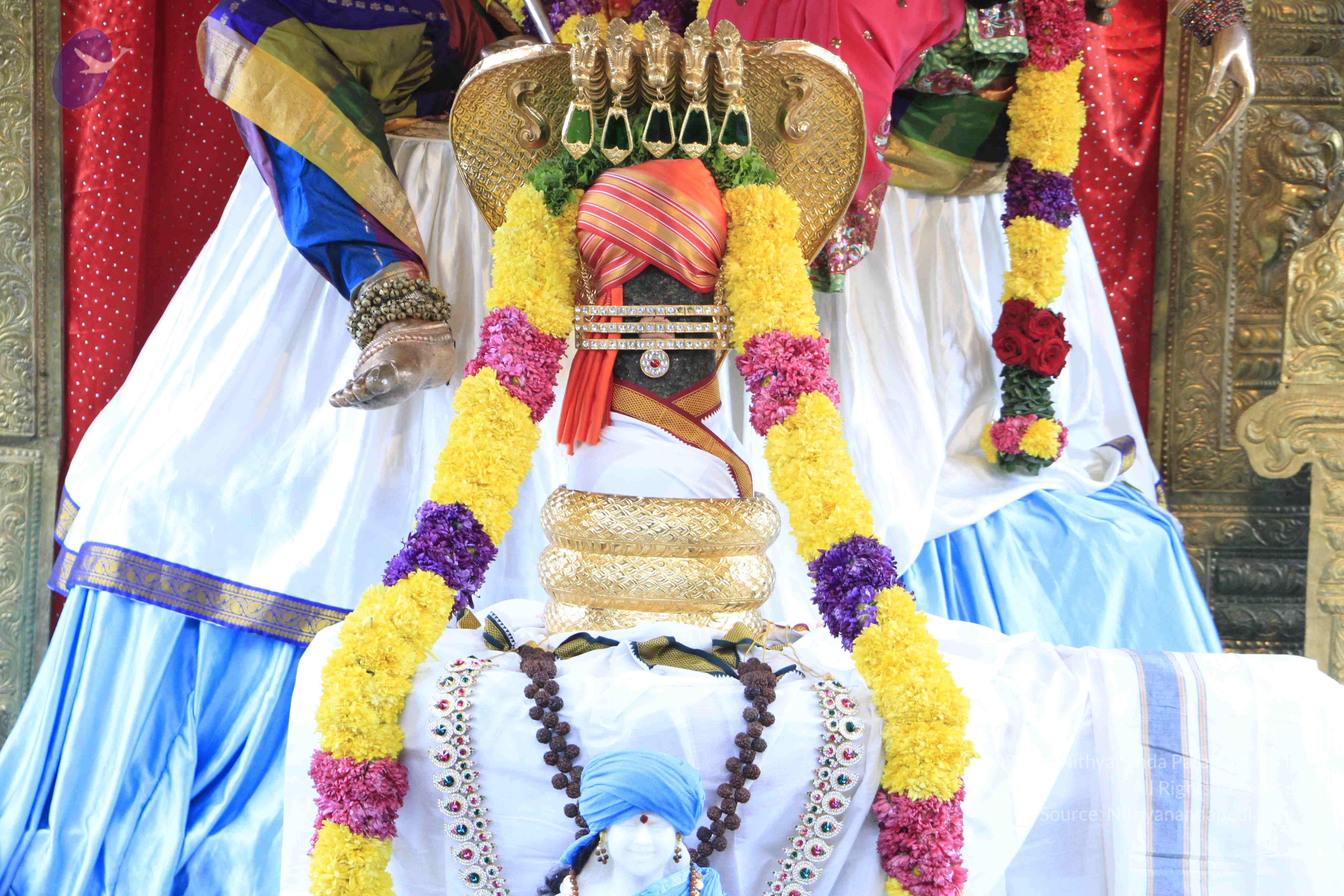 20110730_Photo_1001__MG_8225_CMP_WM