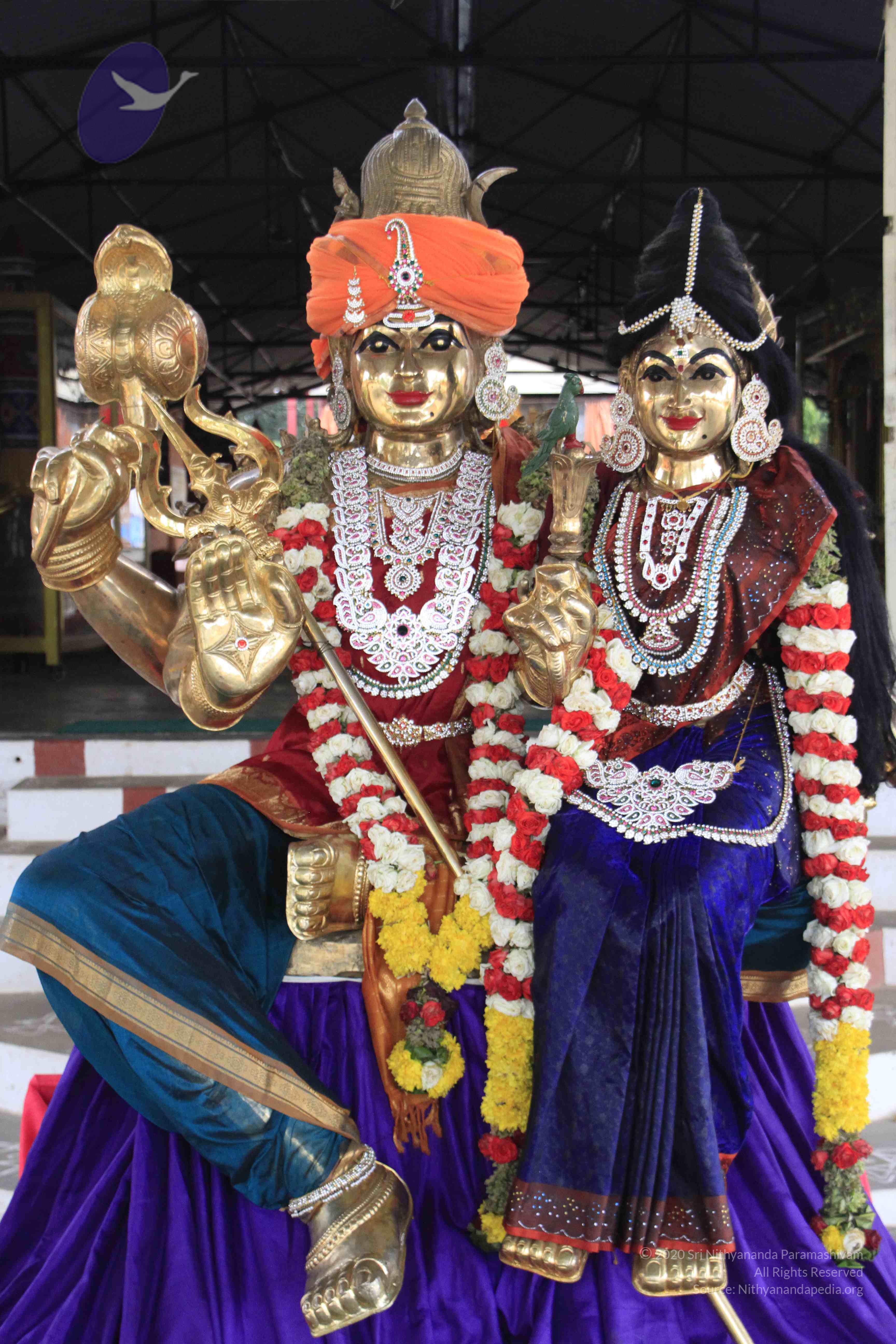 20110730_Photo_1002__MG_8212_CMP_WM