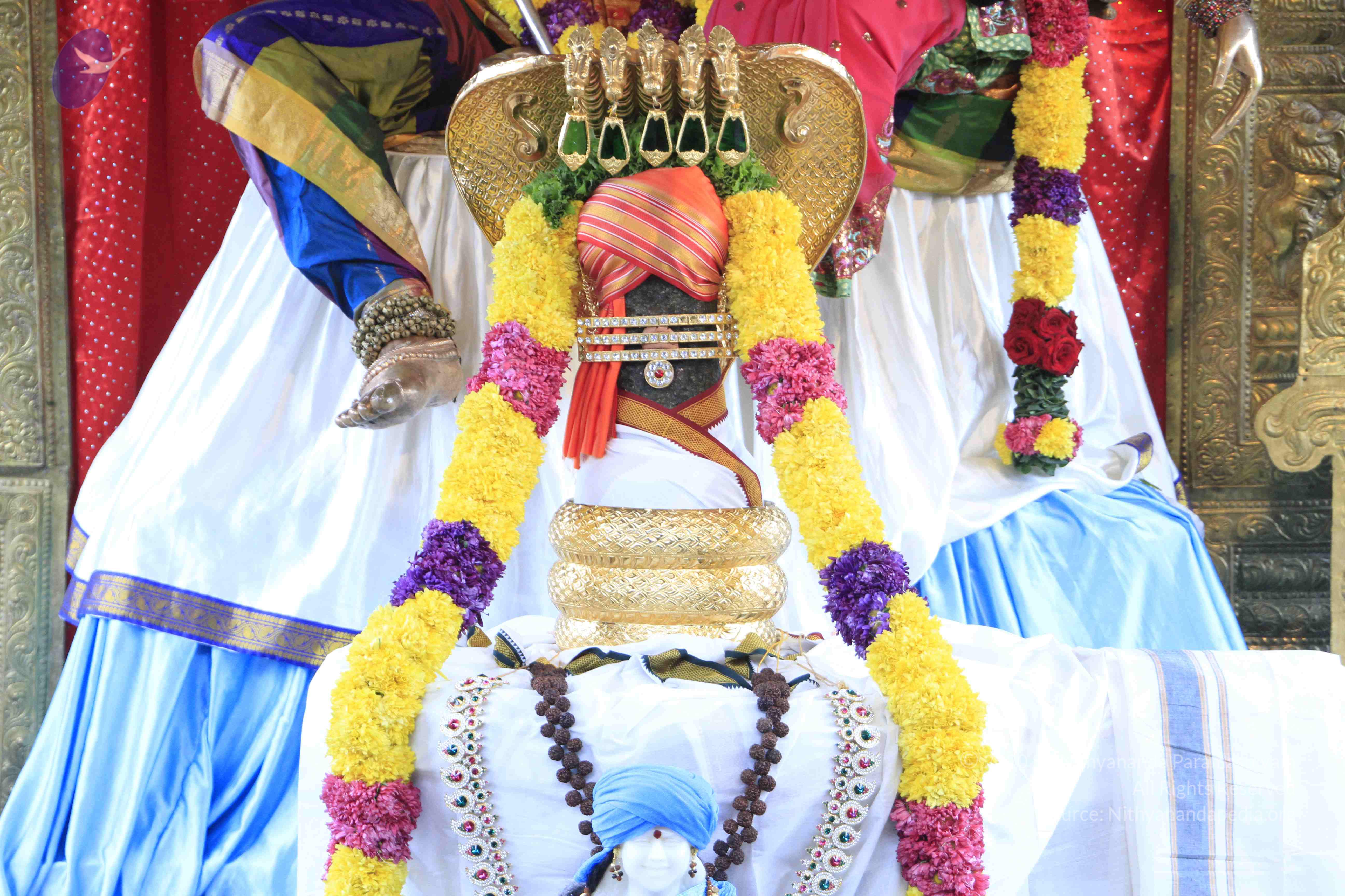 20110730_Photo_1004__MG_8228_CMP_WM