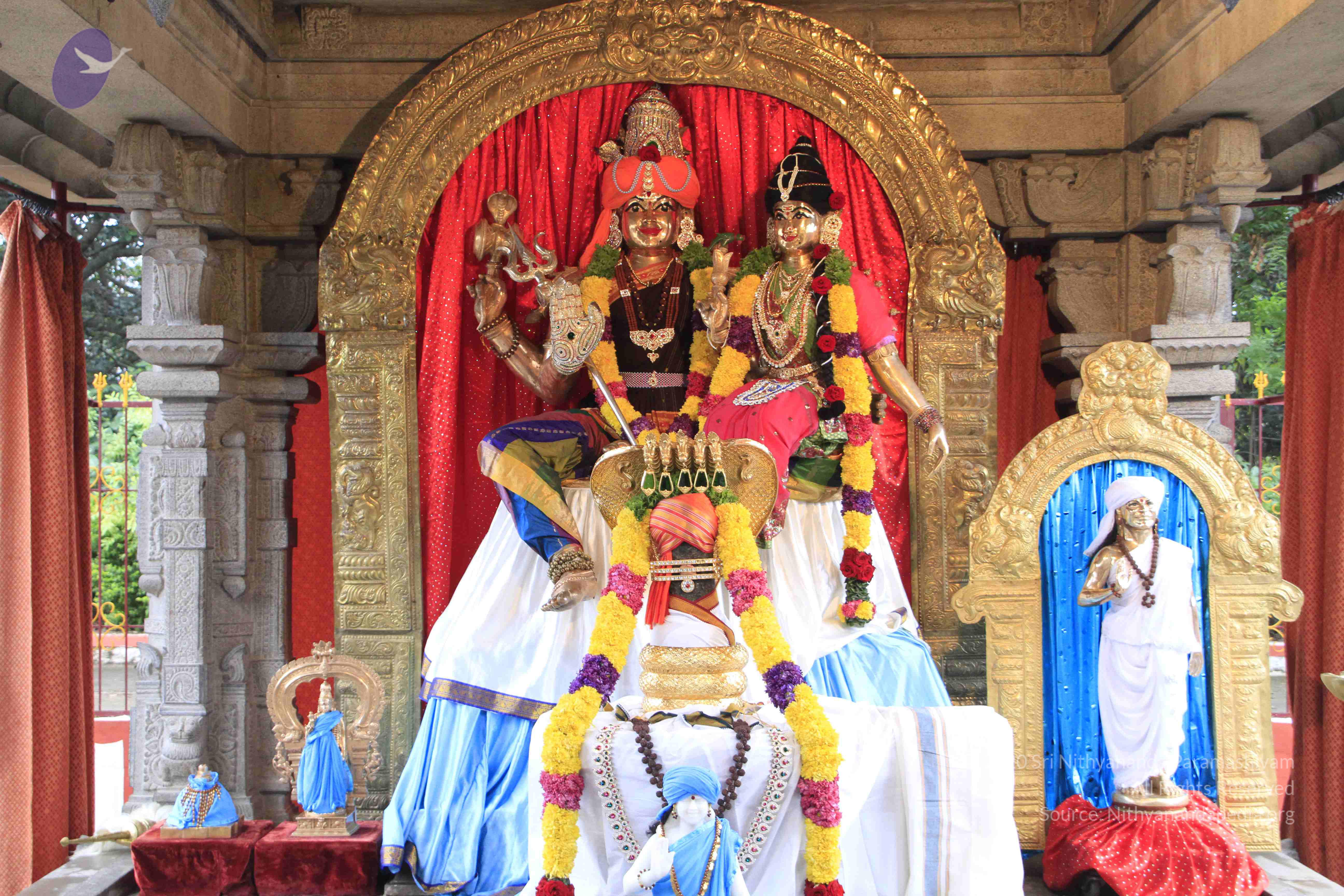 20110730_Photo_1006__MG_8217_CMP_WM