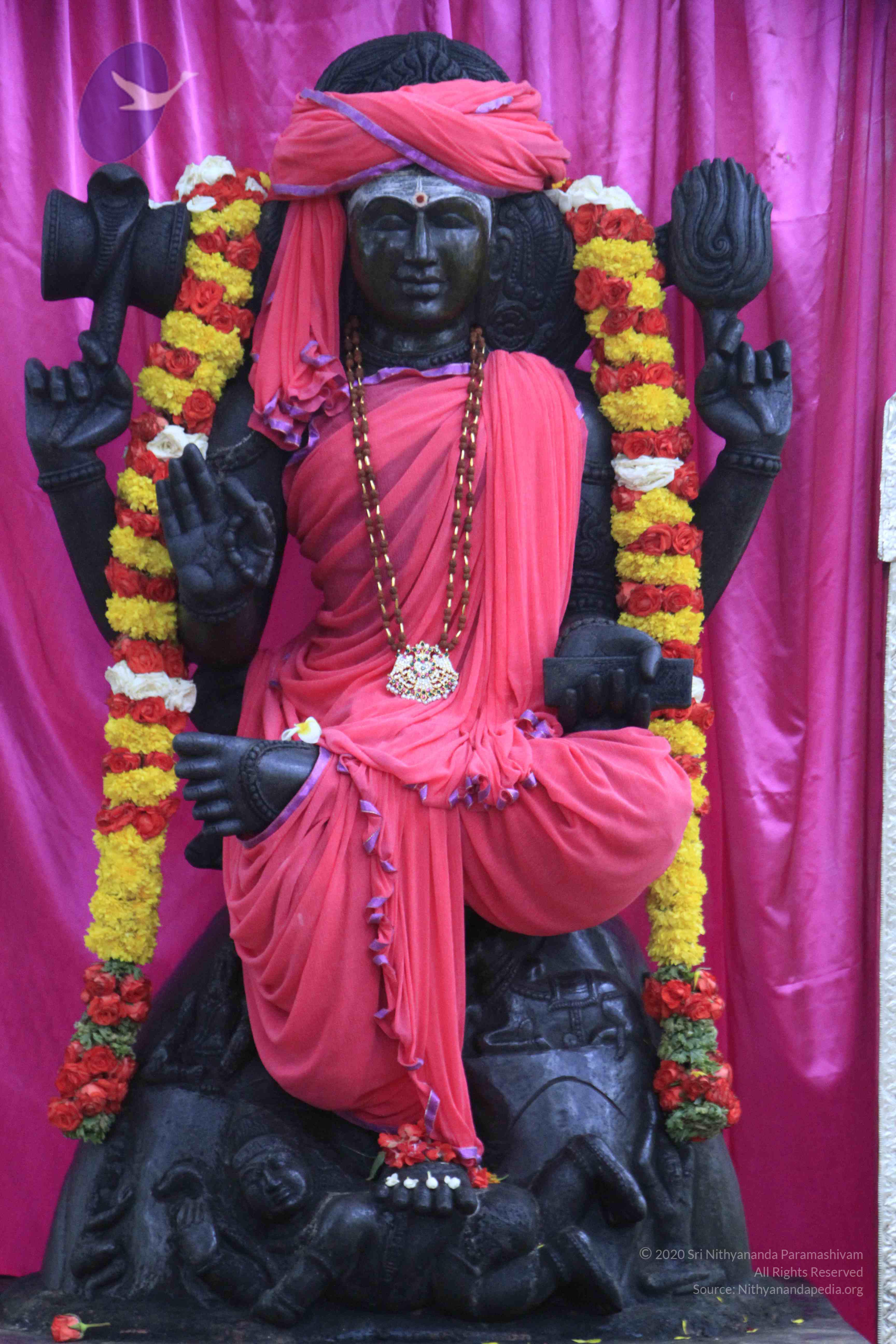 20110730_Photo_1012__MG_8233_CMP_WM