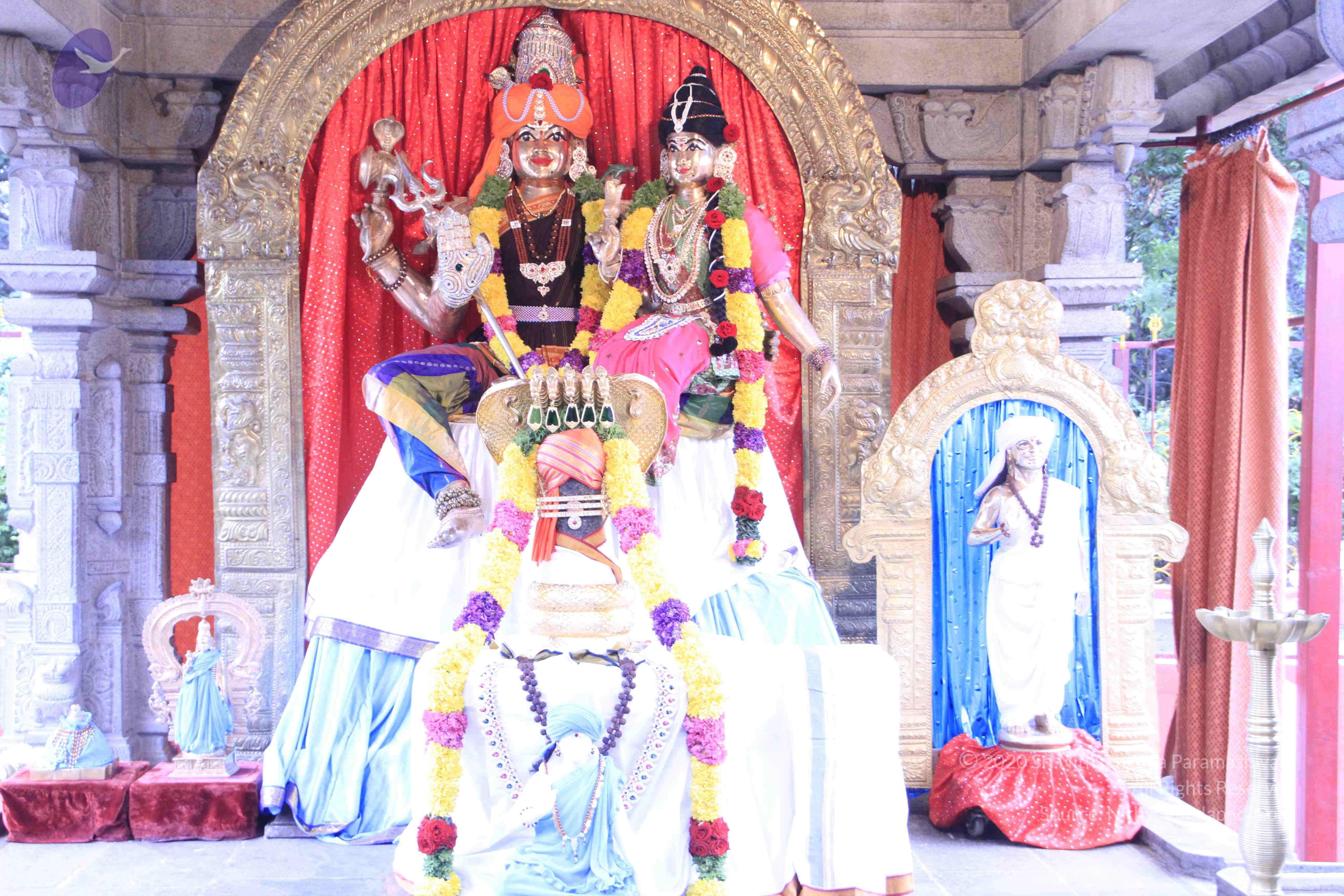 20110730_Photo_1013__MG_8222_CMP_WM