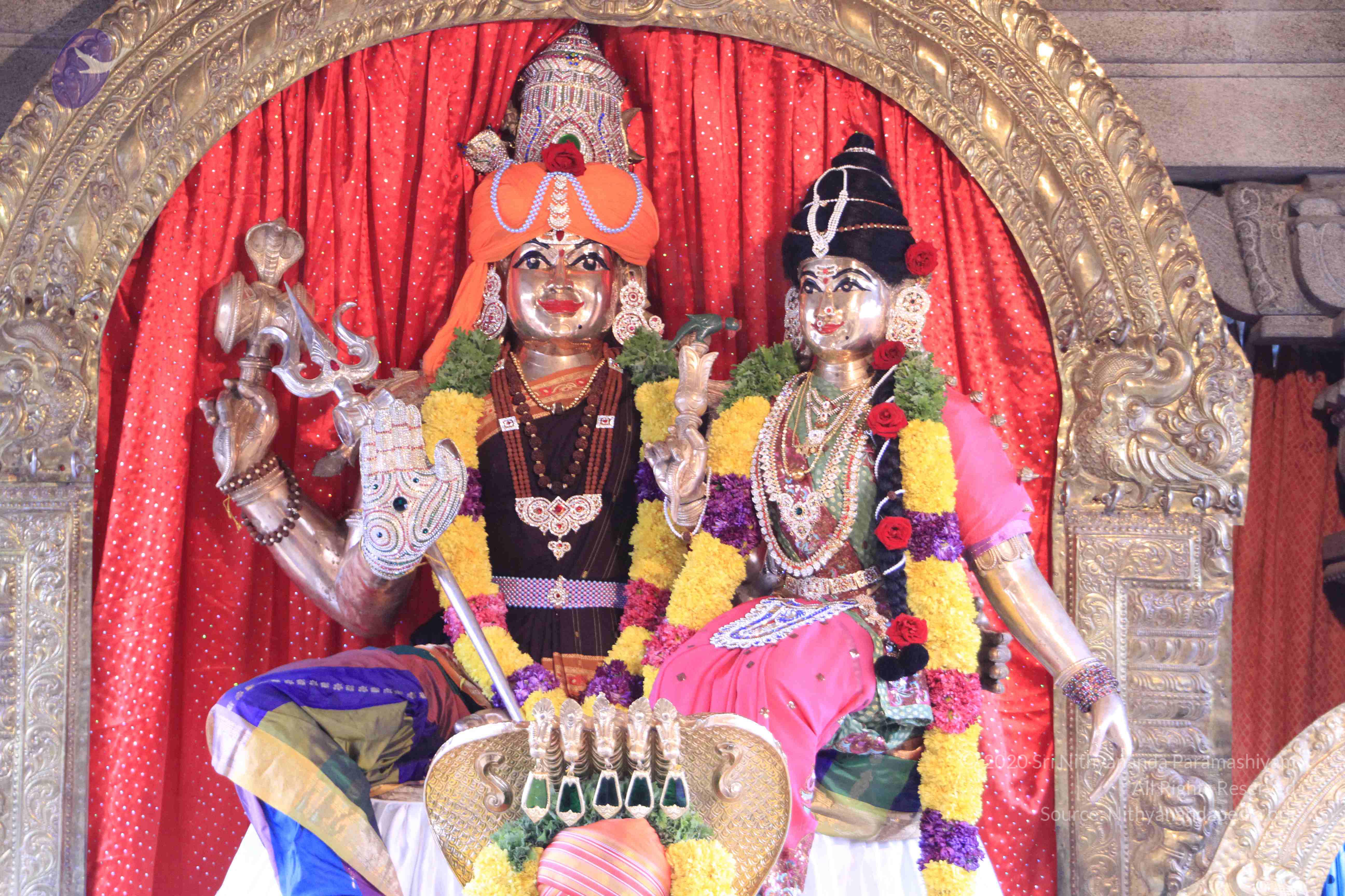 20110730_Photo_1019__MG_8221_CMP_WM