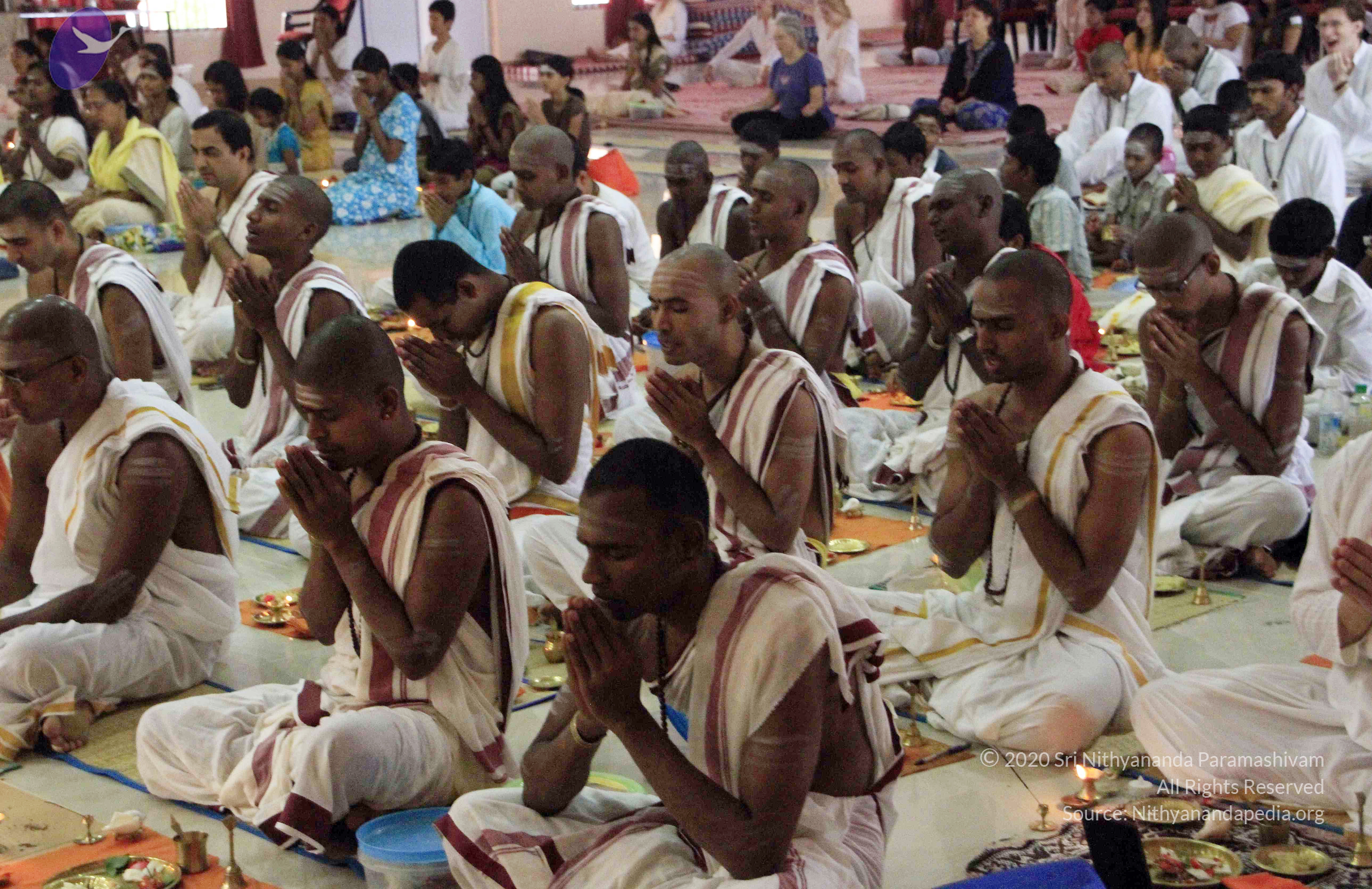 20110730_Photo_1001__MG_8247_CMP_WM