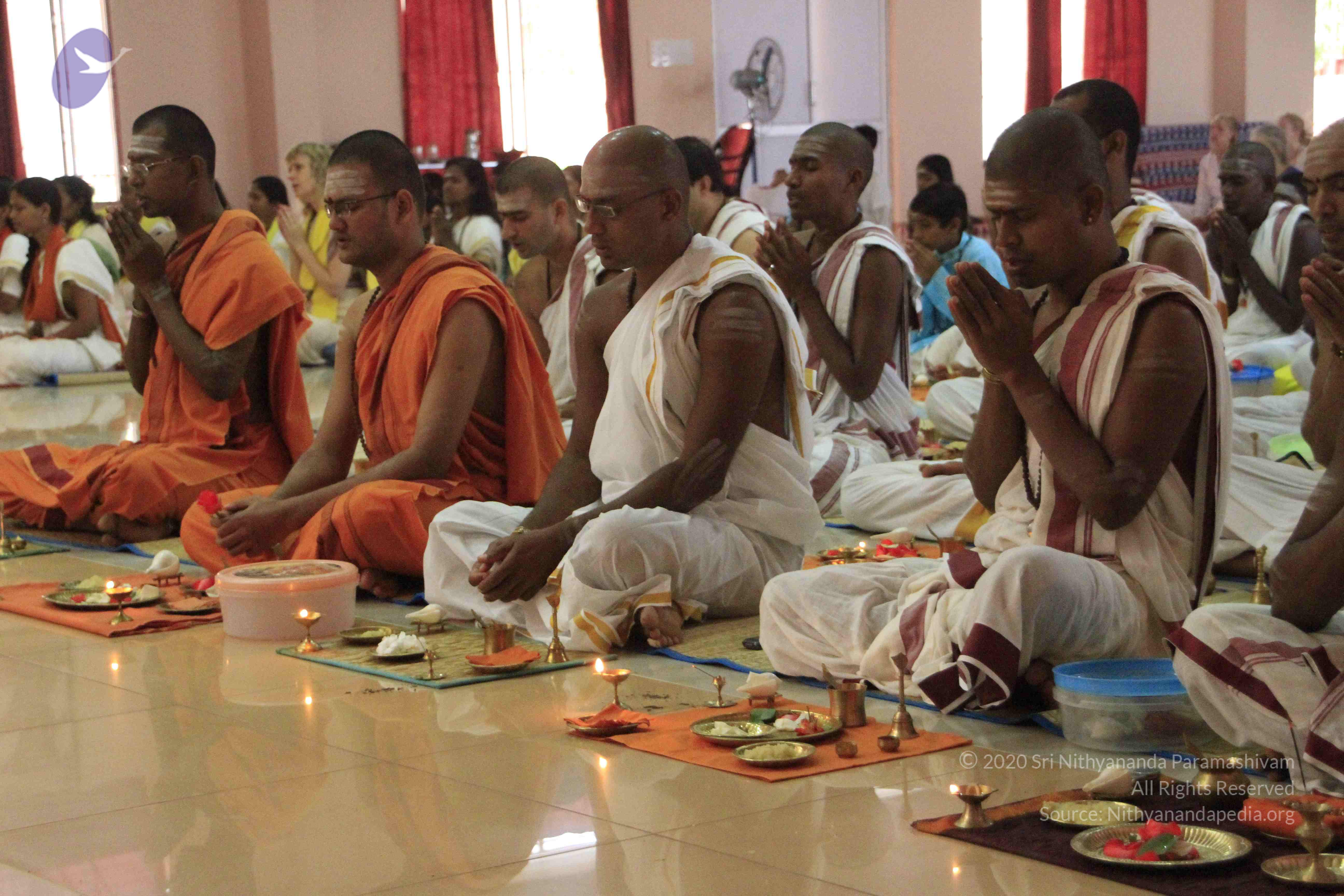 20110730_Photo_1005__MG_8253_CMP_WM