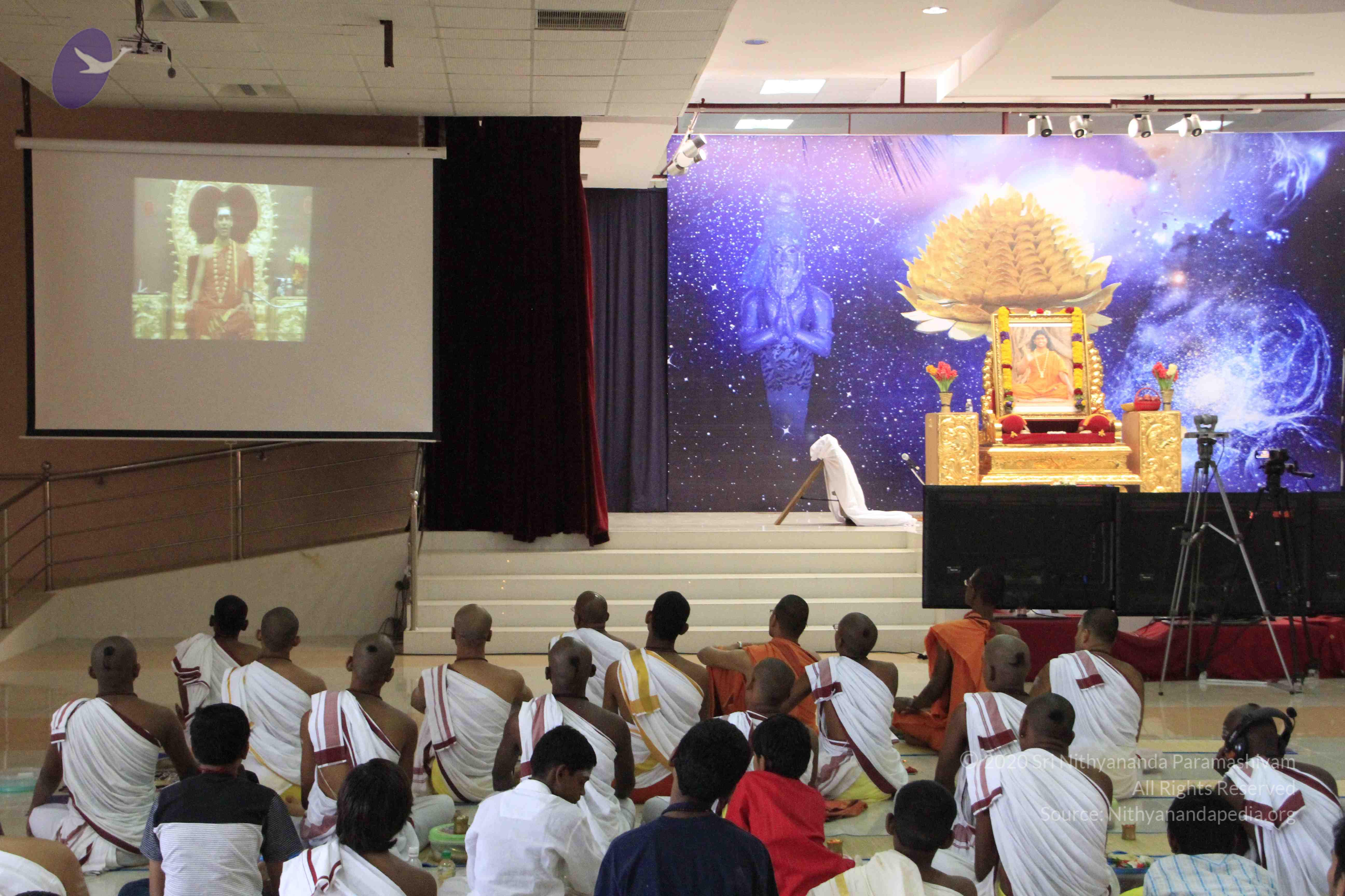 20110730_Photo_1008__MG_8259_CMP_WM