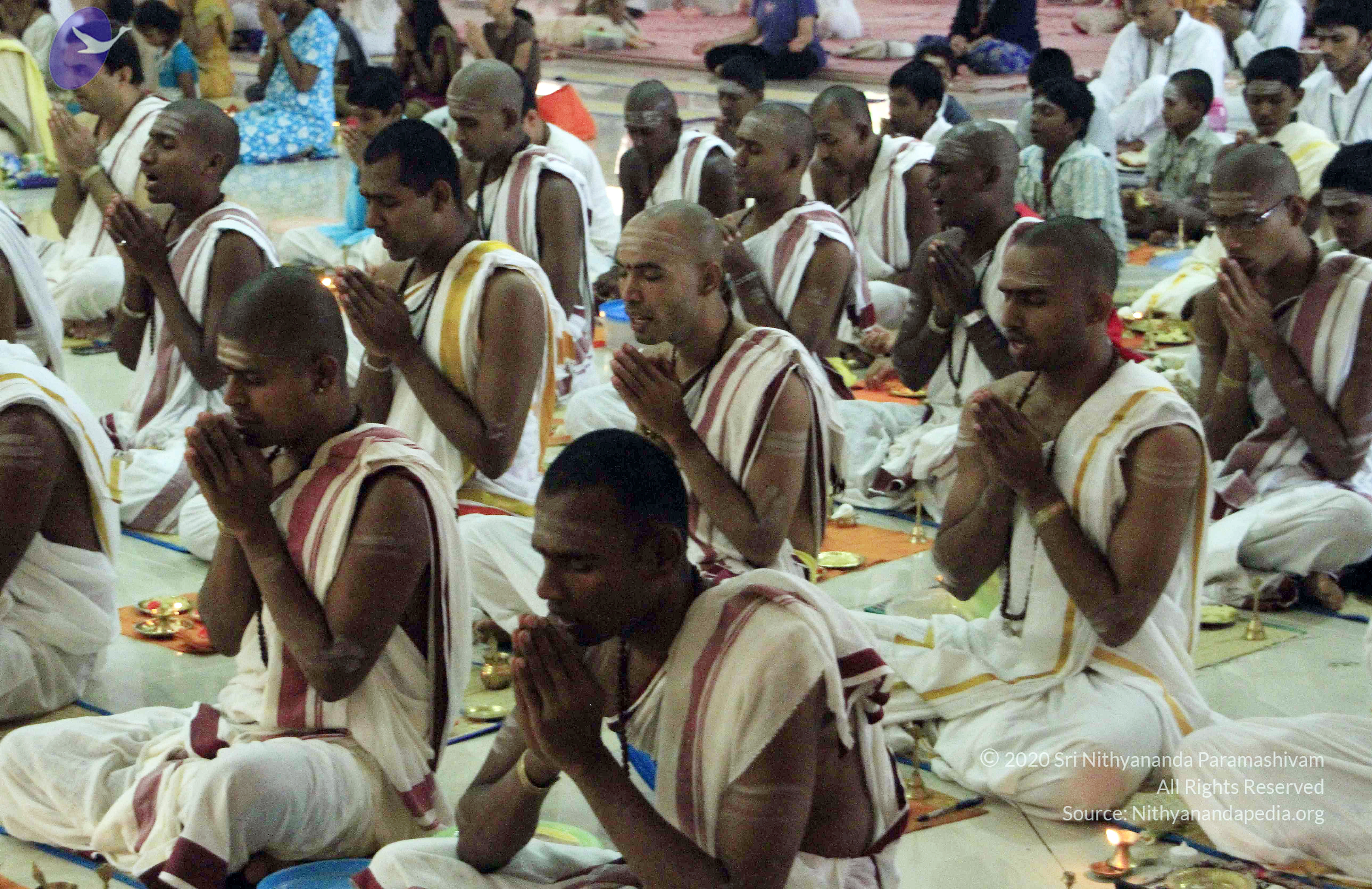 20110730_Photo_1009__MG_8248_CMP_WM