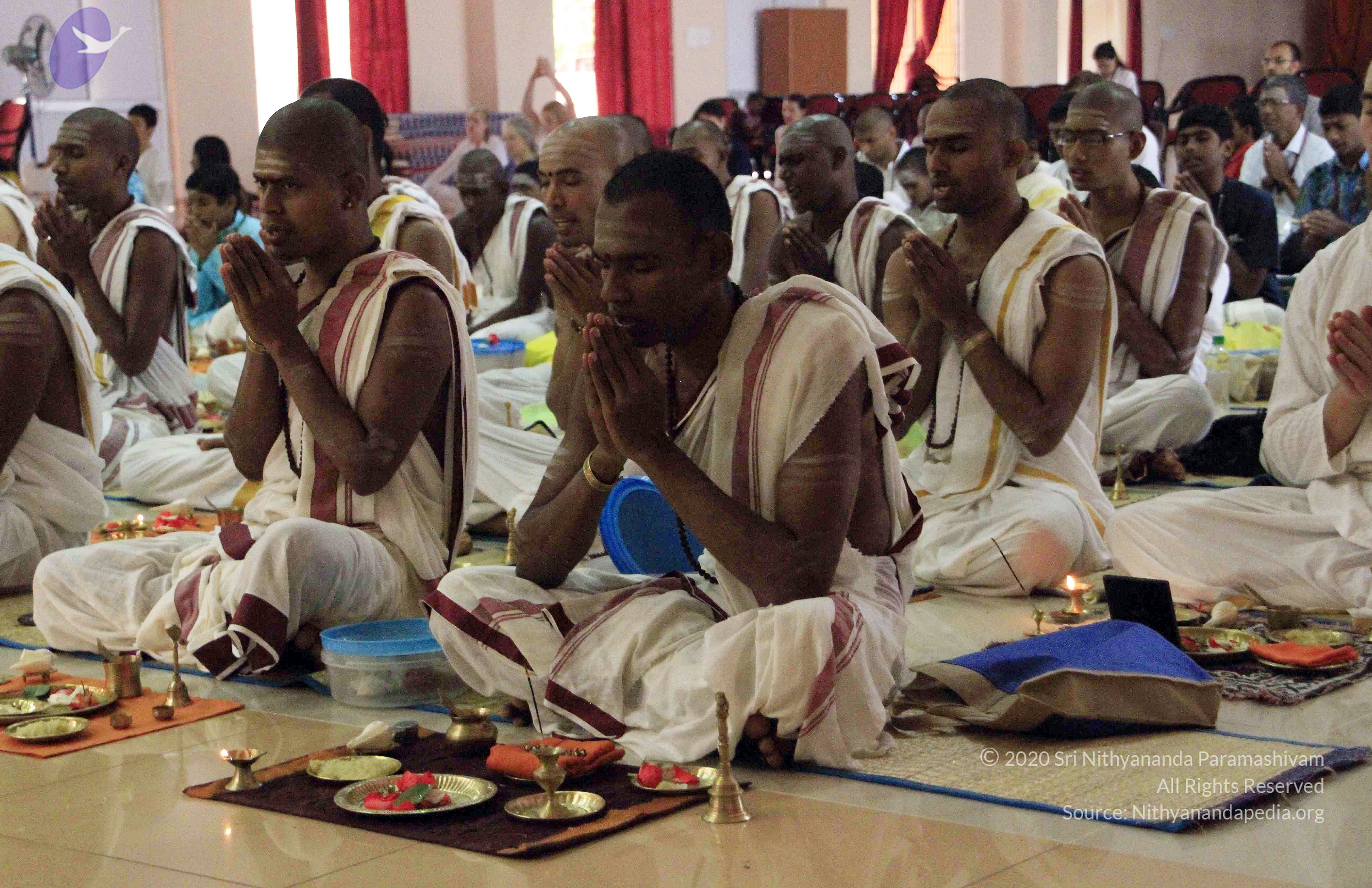 20110730_Photo_1014__MG_8251_CMP_WM