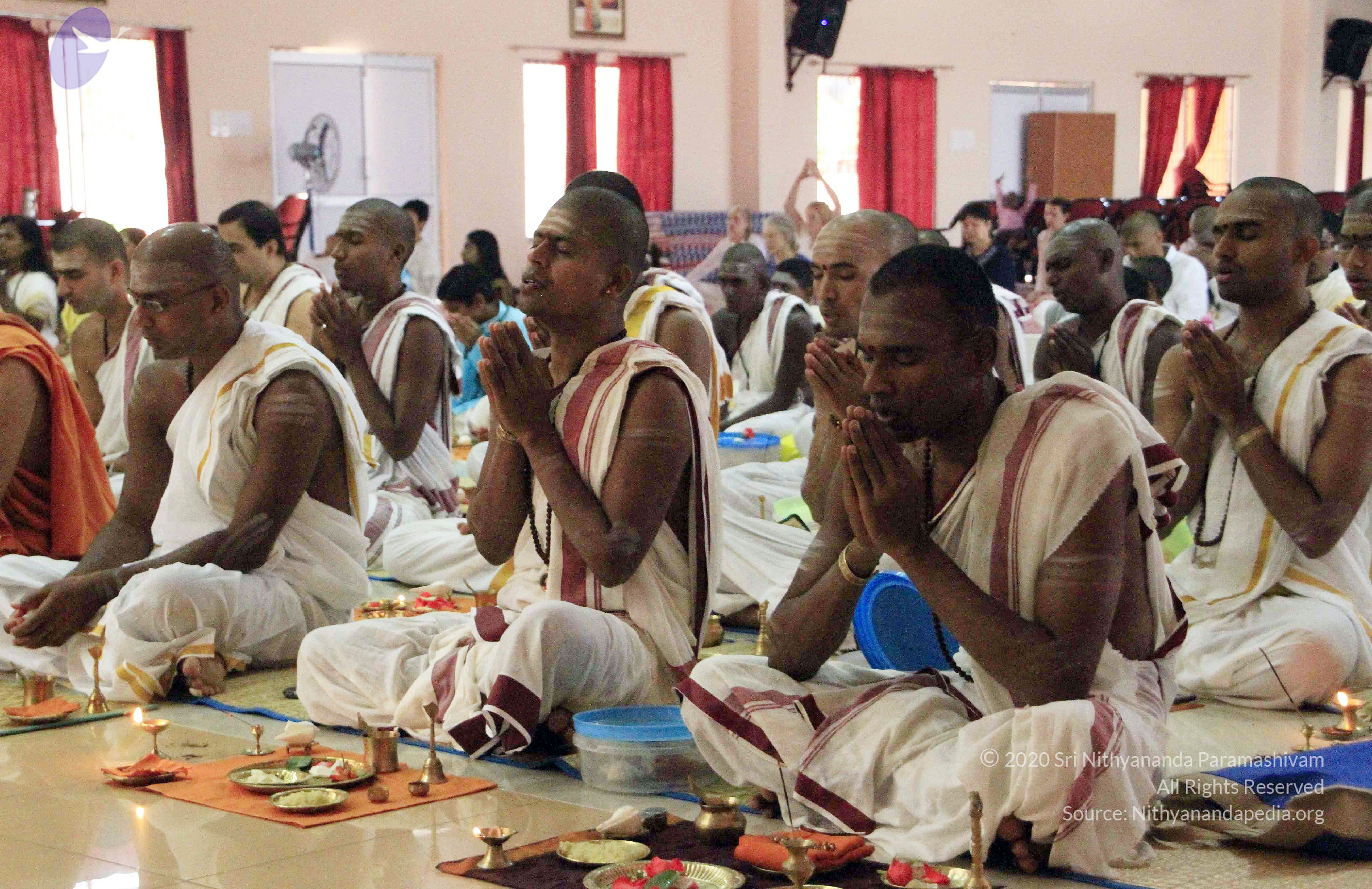 20110730_Photo_1016__MG_8252_CMP_WM