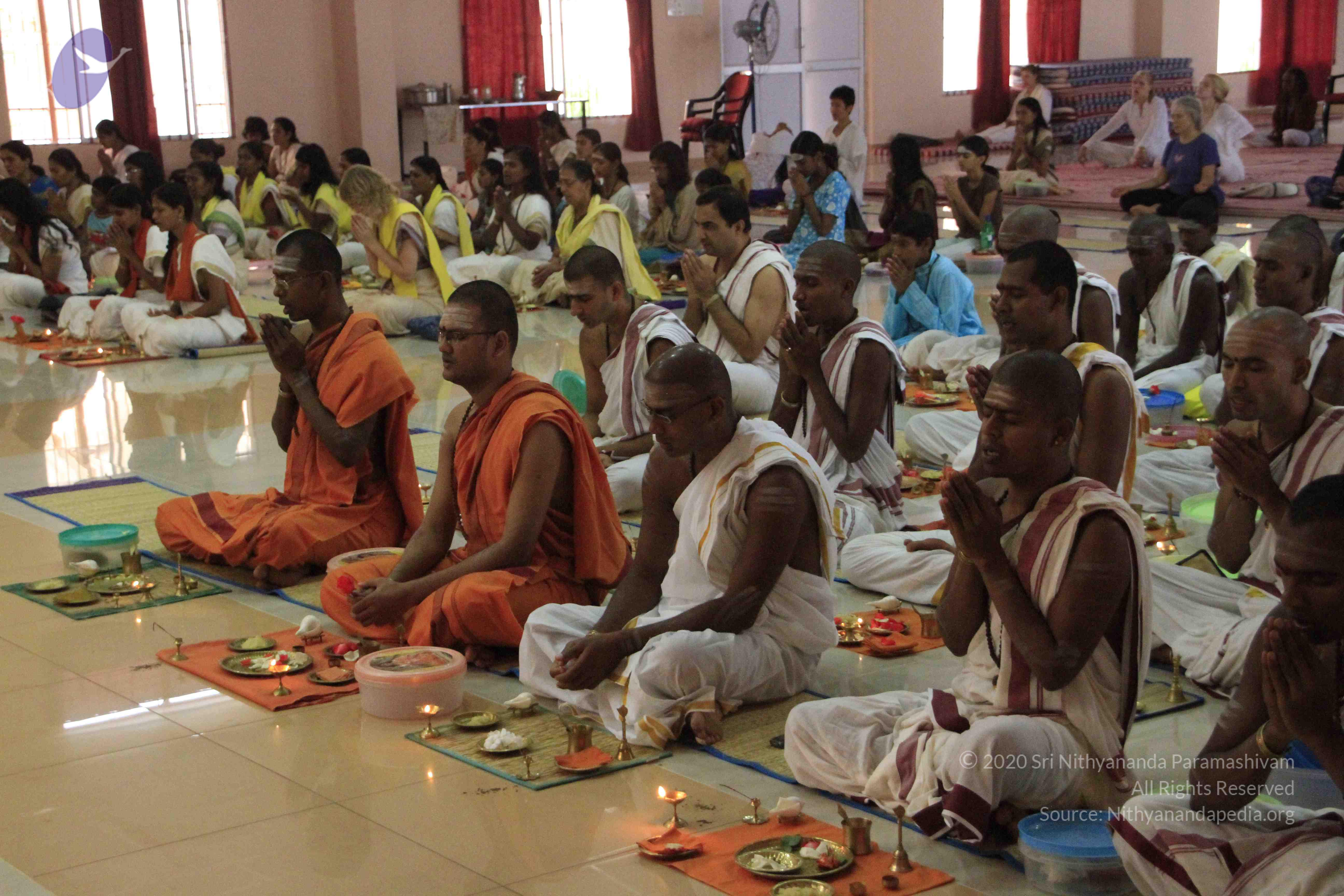 20110730_Photo_1025__MG_8250_CMP_WM