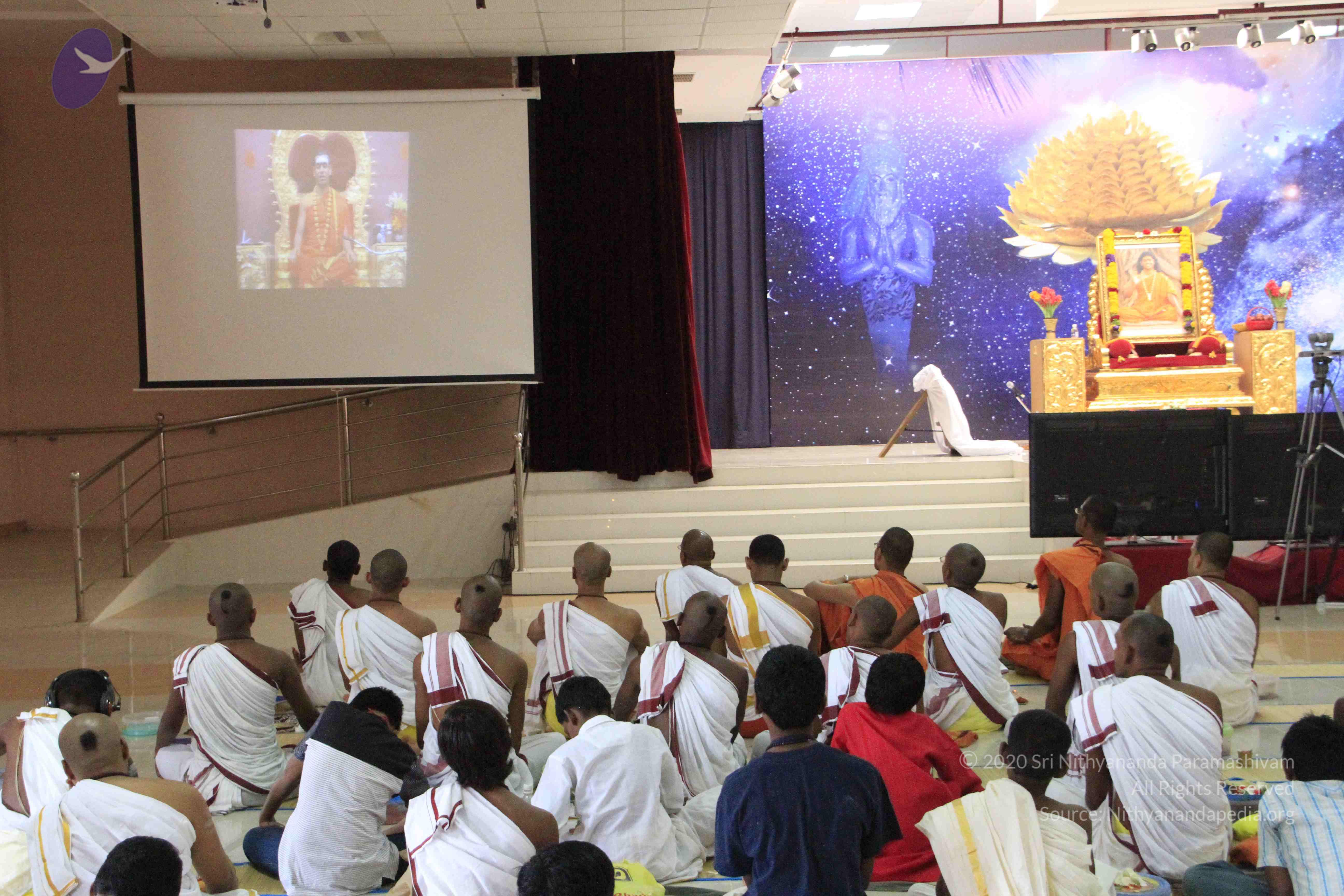 20110730_Photo_1029__MG_8258_CMP_WM