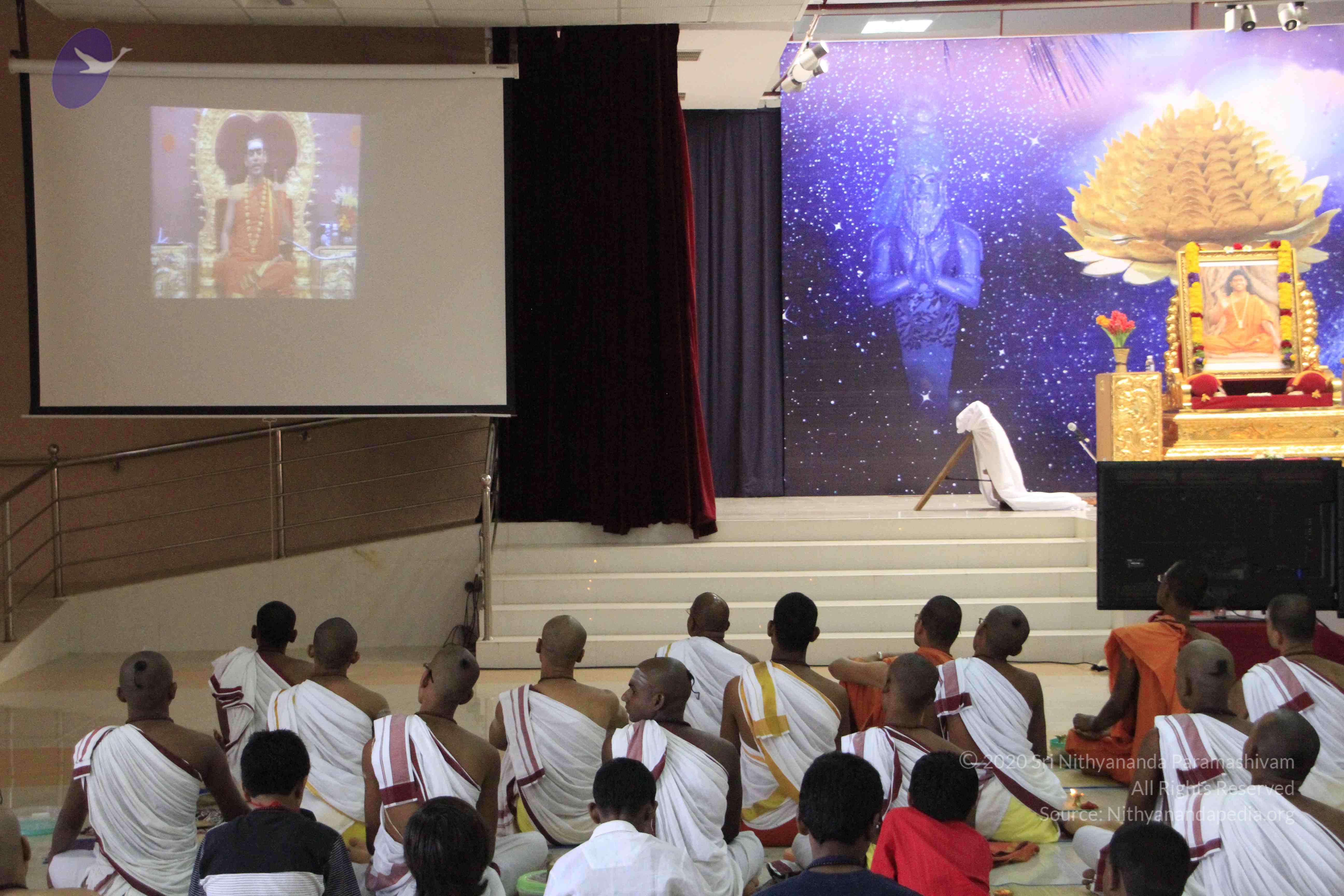 20110730_Photo_1001__MG_8261_CMP_WM