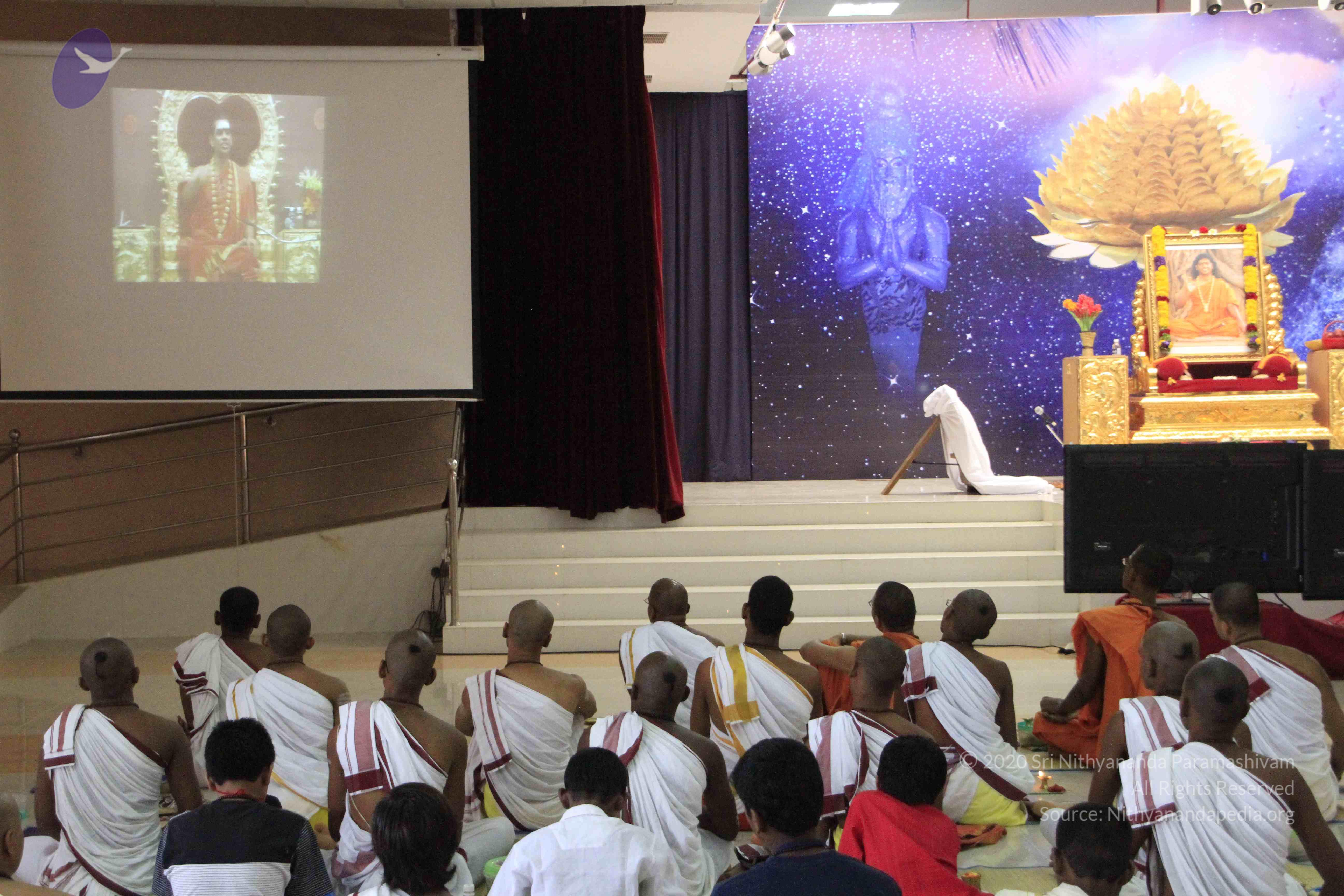 20110730_Photo_1005__MG_8263_CMP_WM