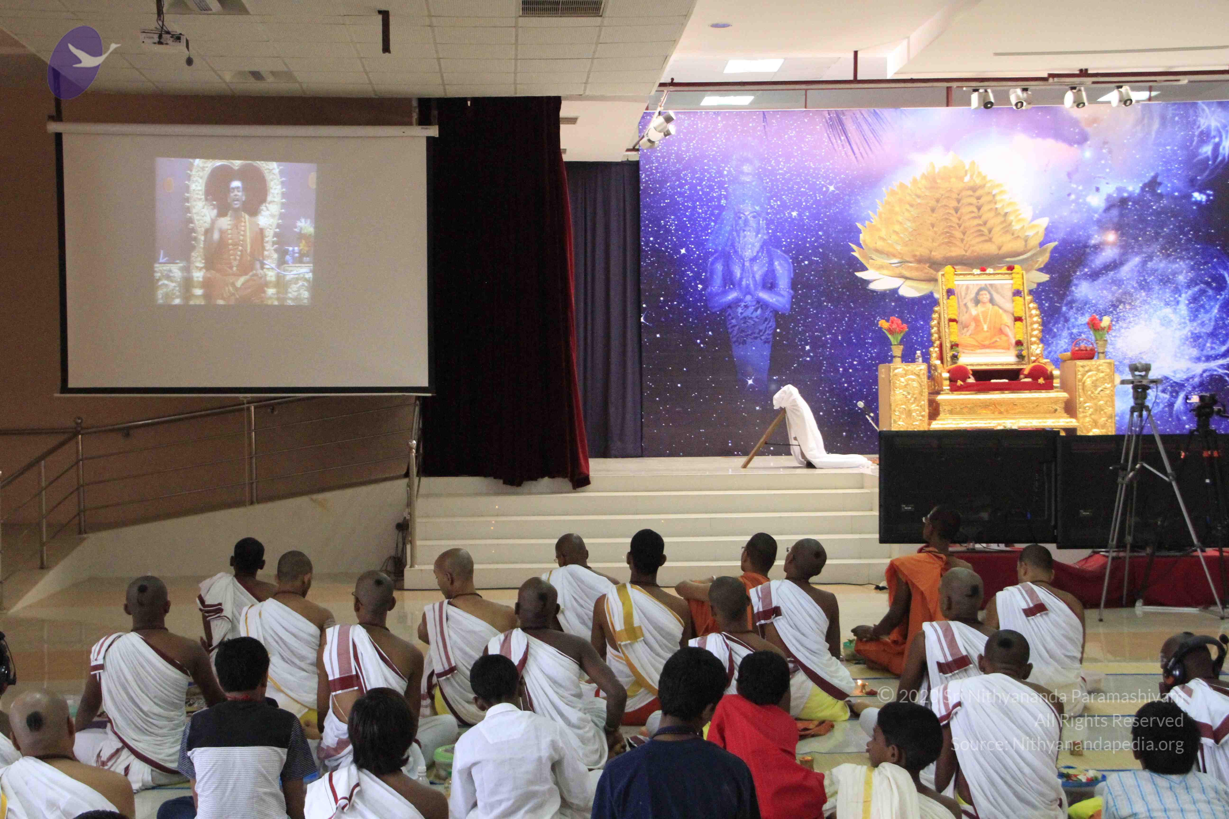 20110730_Photo_1011__MG_8260_CMP_WM