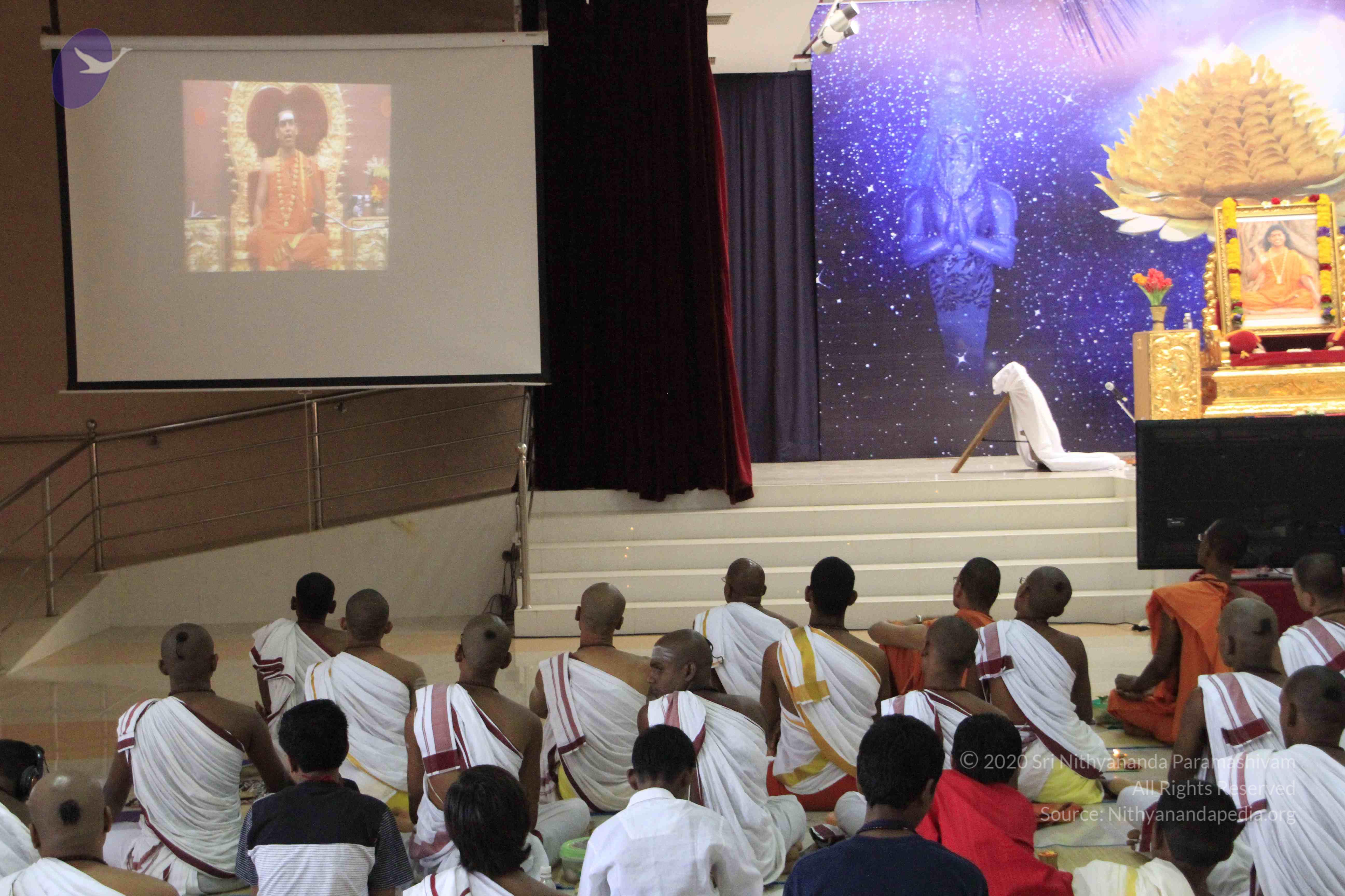 20110730_Photo_1015__MG_8262_CMP_WM