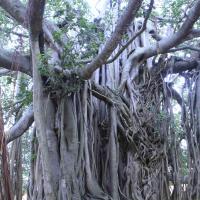 20110730_Photo_1029__MG_8241_CMP_WM